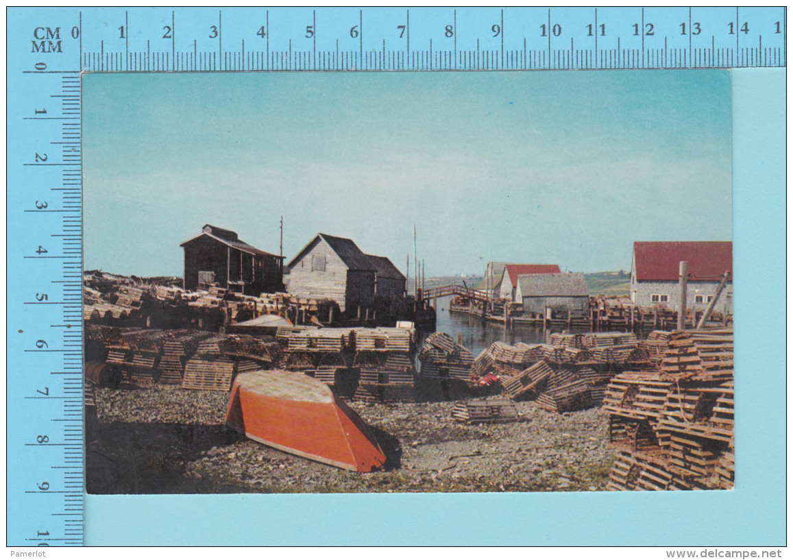 Yamouth Nova Scotia Canada - Sandford Cage Peche Homard Fishing - Cartes Postale Post Card - 2 Scans - Yarmouth
