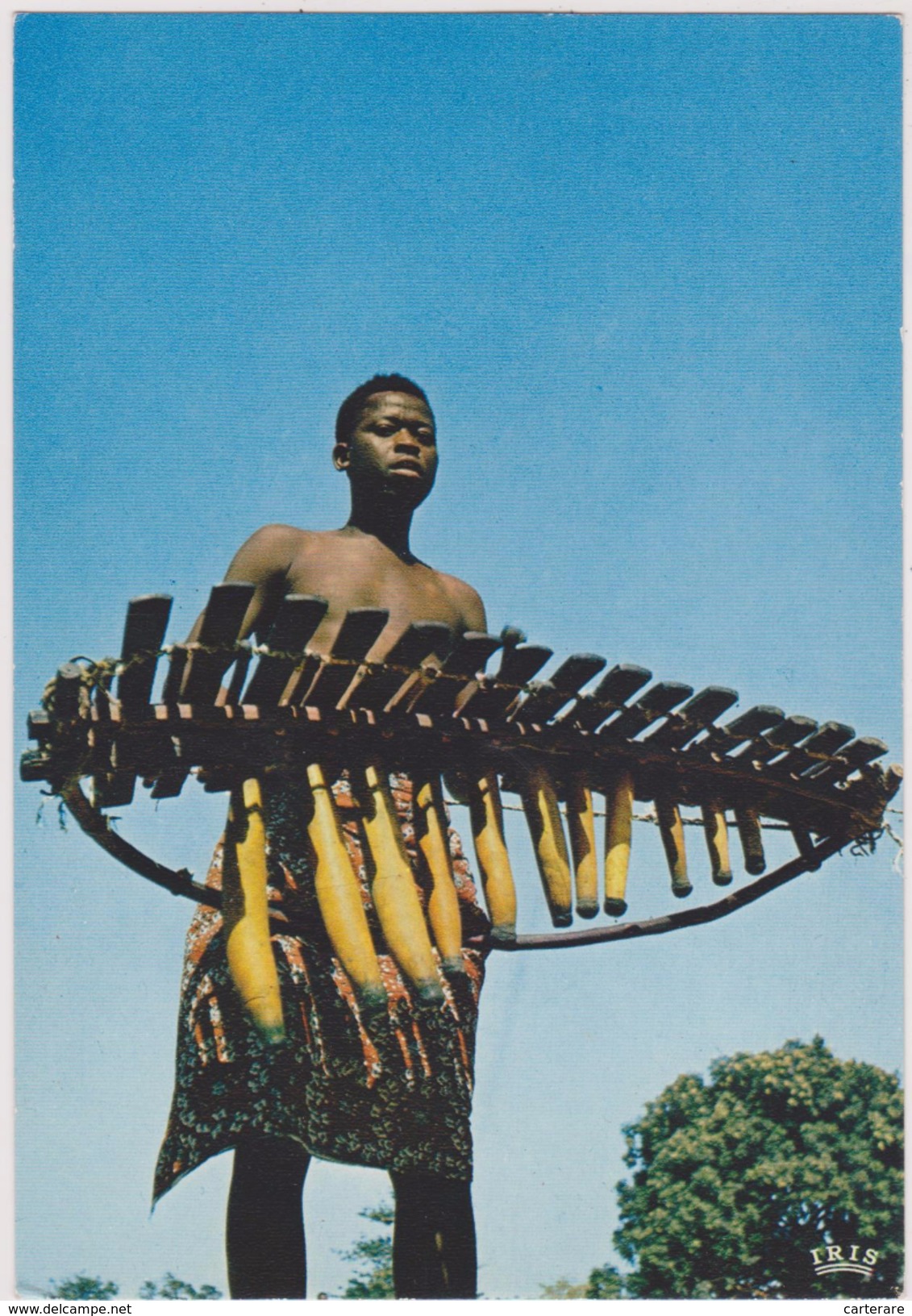 Afrique,africa,ENFANT MUSICIEN,JOUEUR DE BALAFON - Gambie