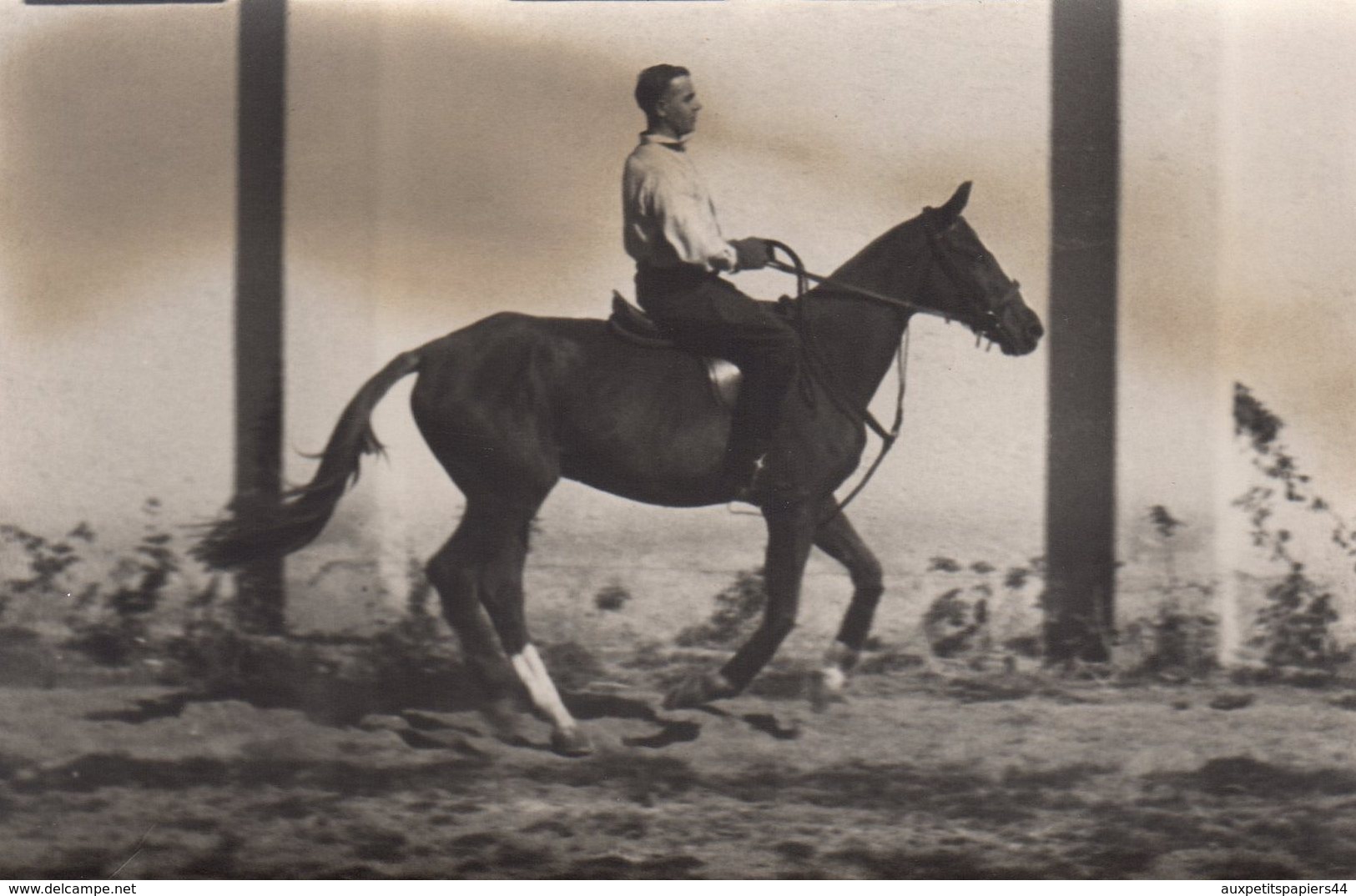 Carte Photo Originale Cheval & Cavalier - Monter à Cheval Avec Classe Vers 1910/20 - Personnes Anonymes