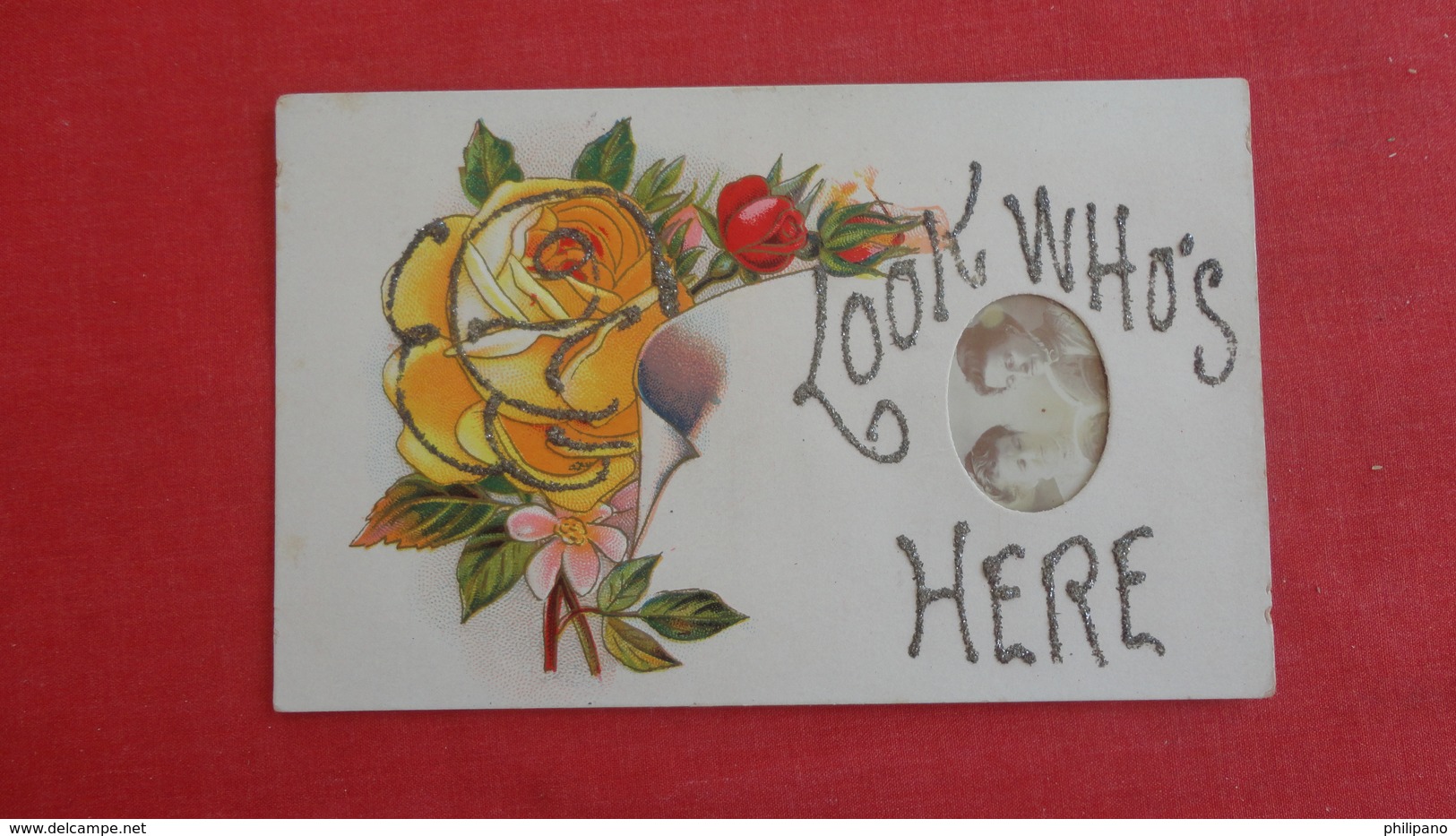 Look Who's Here  Small Real Photo Insert   Flower Has Glitter  > Ref 2579 - Autres & Non Classés