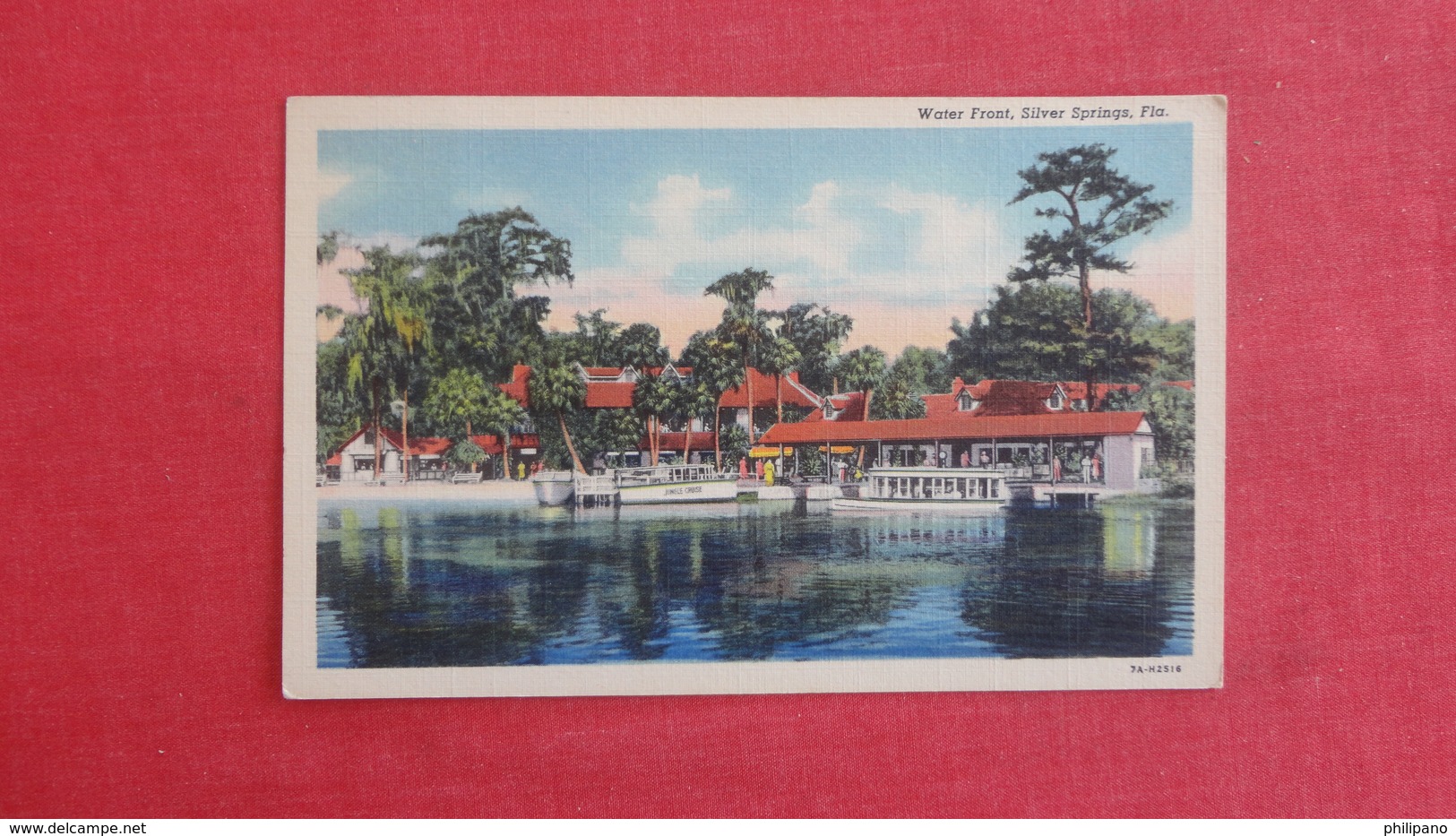 Florida > Silver Springs Water Front > Ref 2579 - Silver Springs