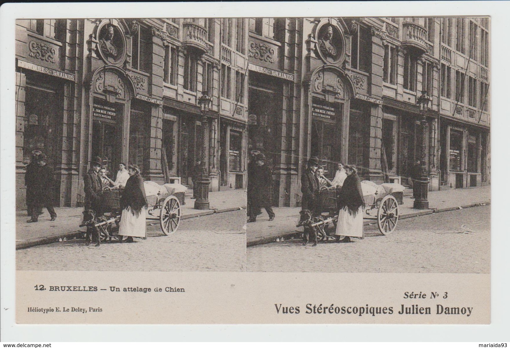 BRUXELLES - BELGIQUE - CARTE STEREOSCOPIQUE - UN ATTELAGE DE CHIEN - Transport Urbain En Surface