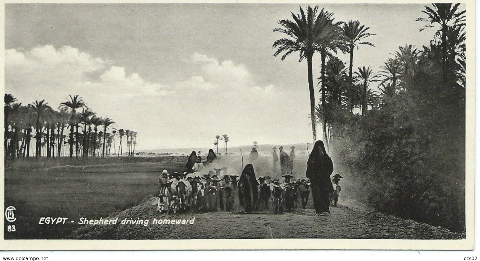 Egypt Shepherd Driving Homeward - Personnes