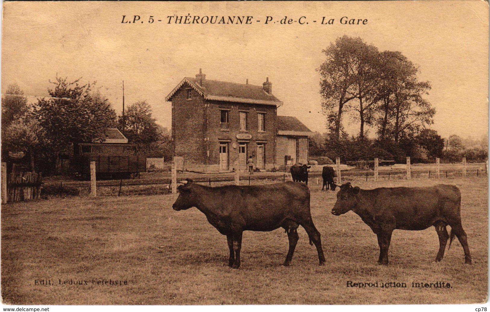 THEROUANNE (62) La Gare - Très Rare - Carte Postée - Coupée Côté Gauche - Autres & Non Classés