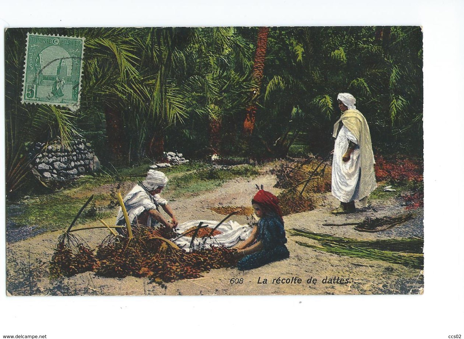 Tunisie La Récolte De Dattes 1912 - Tunisie