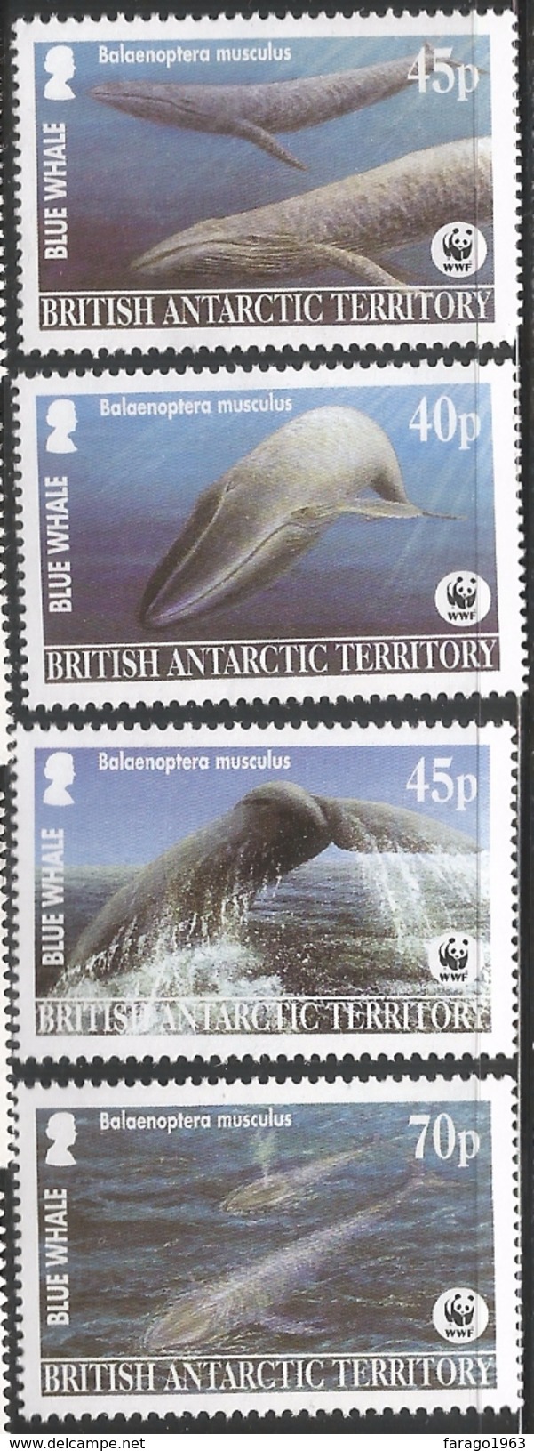 2005 British Antarctic Territory Blue Whales WWF Complete Set Of 4 MNH - Ungebraucht