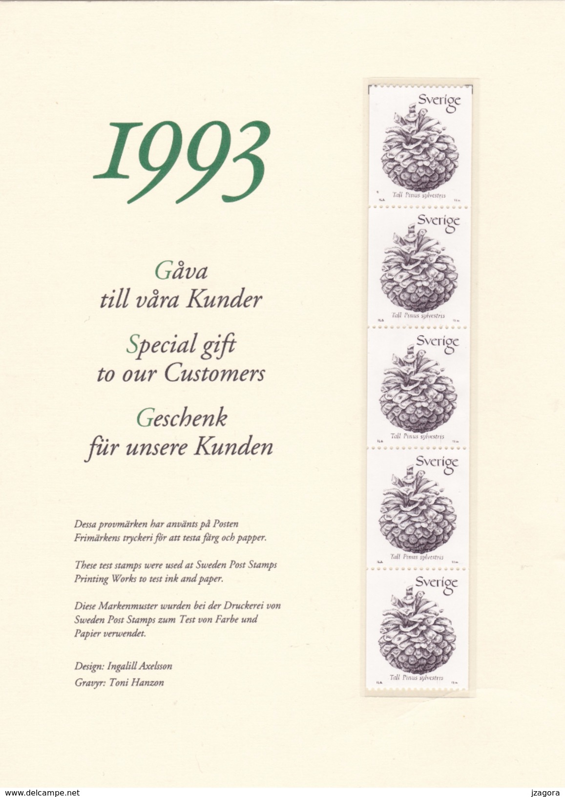 PINE PINUS SYLVESTRIS  BOTANY SWEDEN SCHWEDEN SUEDE 1993  PROOF ,TEST PRINT Botanique Botanic Plants - Probe- Und Nachdrucke