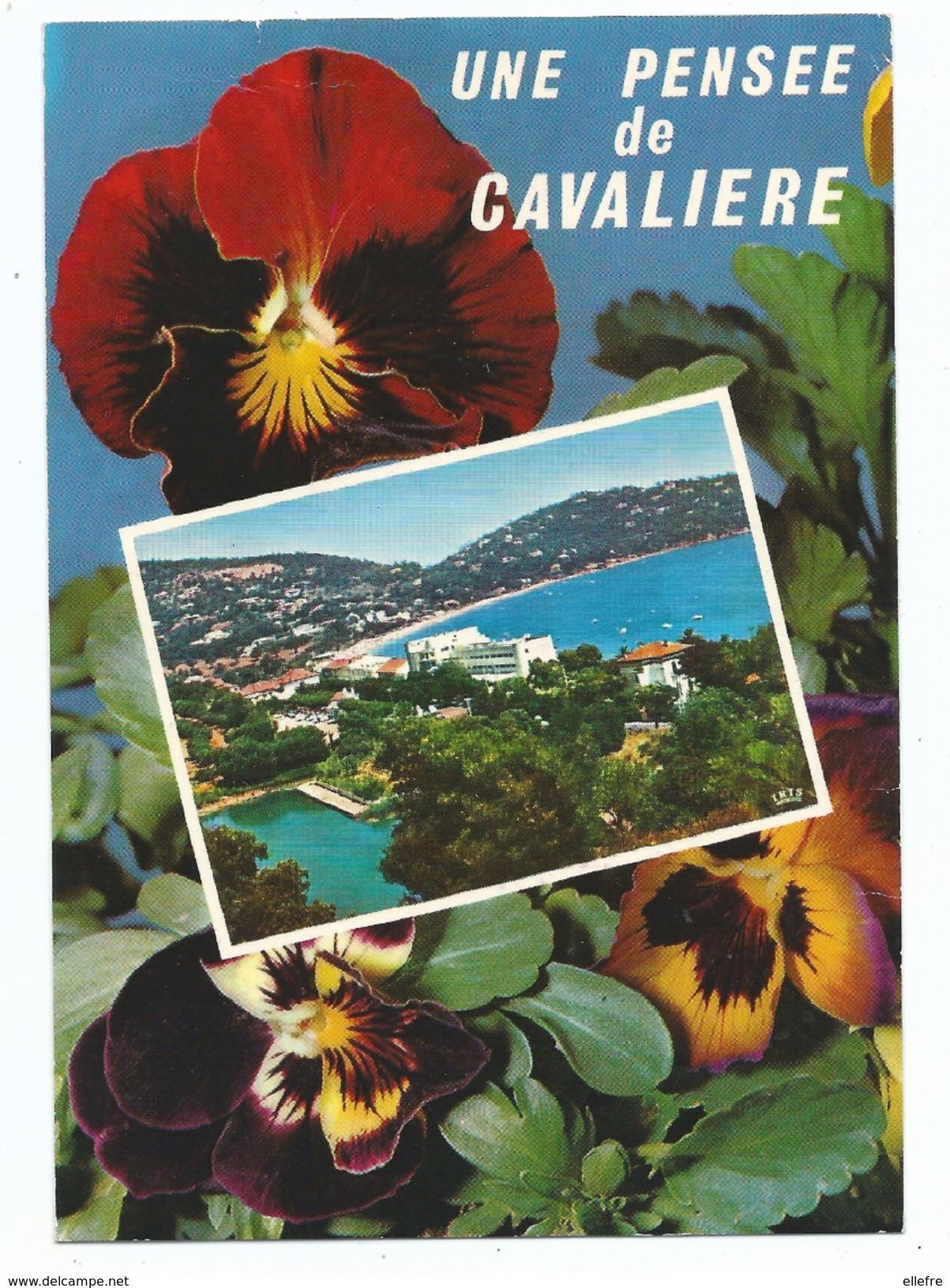 CPM Cavalière Sur Mer Cap Nègre - Une Pensée De Cavalière - Ecrite Ed Mar - Cavalaire-sur-Mer