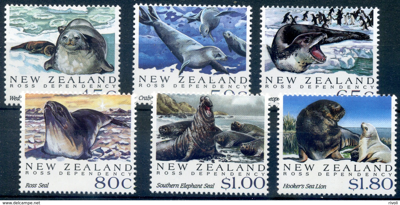 ELEPHANTS DE MER - OTARIE 1992 NEW ZEALAND ** MNH COTE 12.50 - Sonstige & Ohne Zuordnung