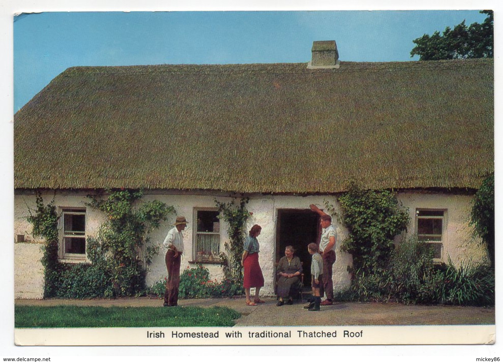 Irlande--KILLARNEY--1972--Irish Homestead With Traditional Thatched Roof (très Animée) Cpsm 15 X 10 N°403 éd Cardall - Kerry