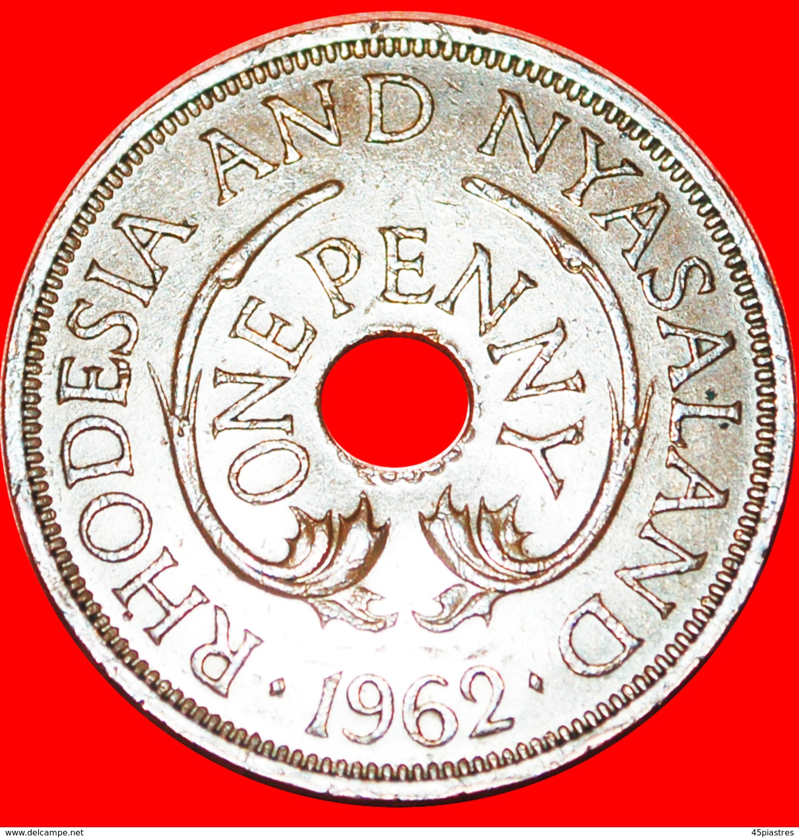 § ELEPHANTS: RHODESIA AND NYASALAND &#x2605; 1 PENNY 1962! LOW START&#x2605; NO RESERVE! - Rhodésie