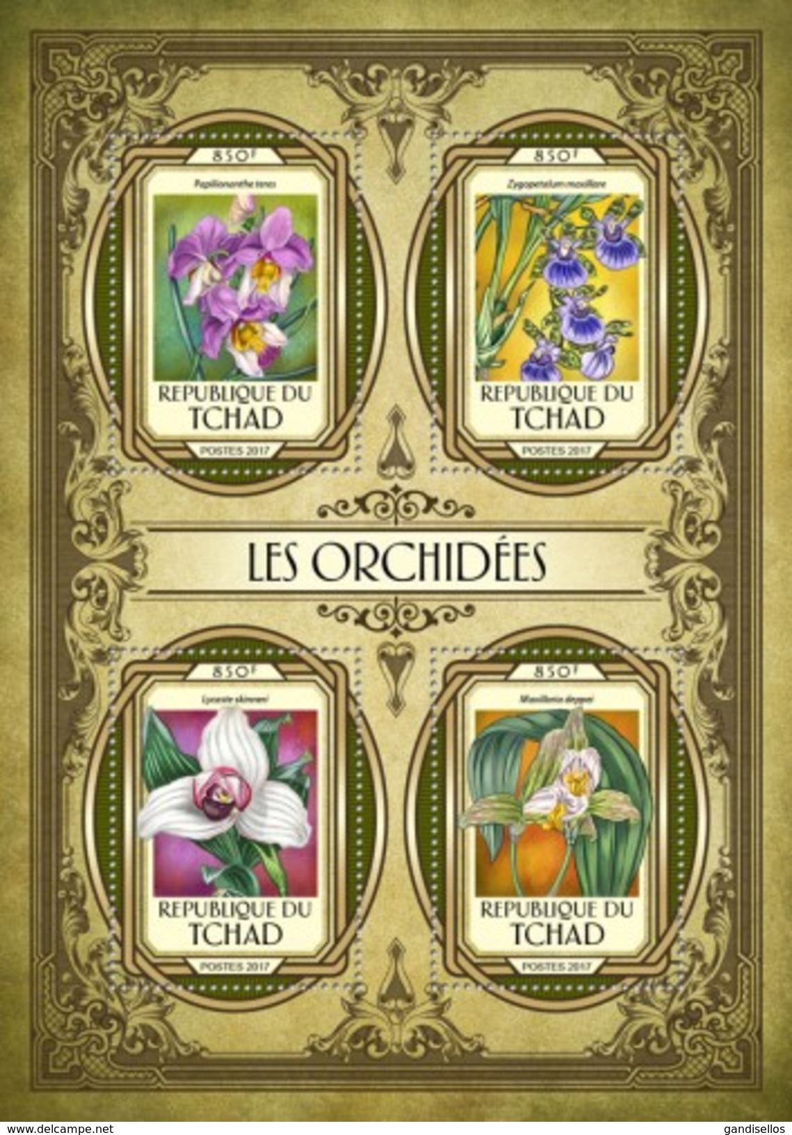 TCHAD CHAD 2017 SHEET ORCHIDEES ORCHIDEE ORQUIDEAS ORCHIDEEN ORCHIDS FLEURS FLOWERS FLORES Tch17106a - Chad (1960-...)