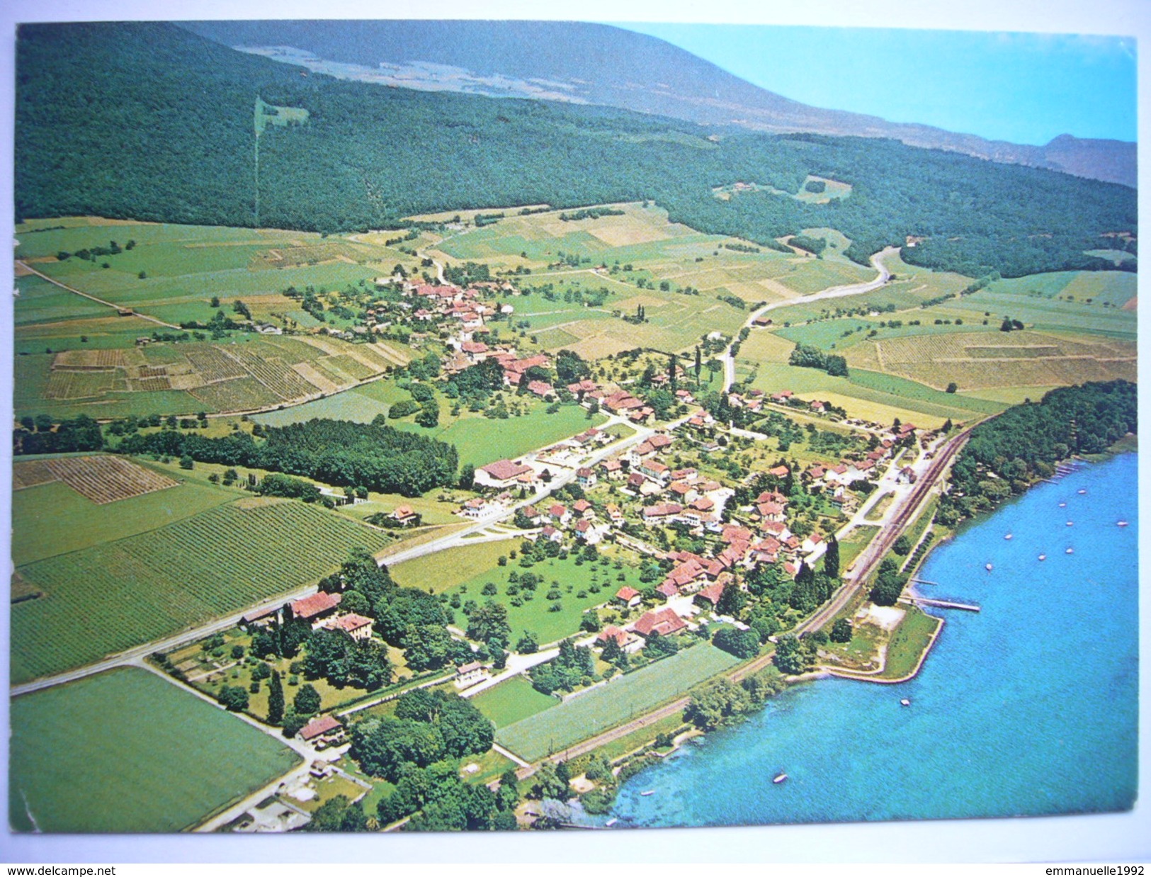 CP - CPSM Suisse - Canton De Vaud - Vue Aérienne De Concise - Village, Lac De Neuchâtel - 1981 - Concise