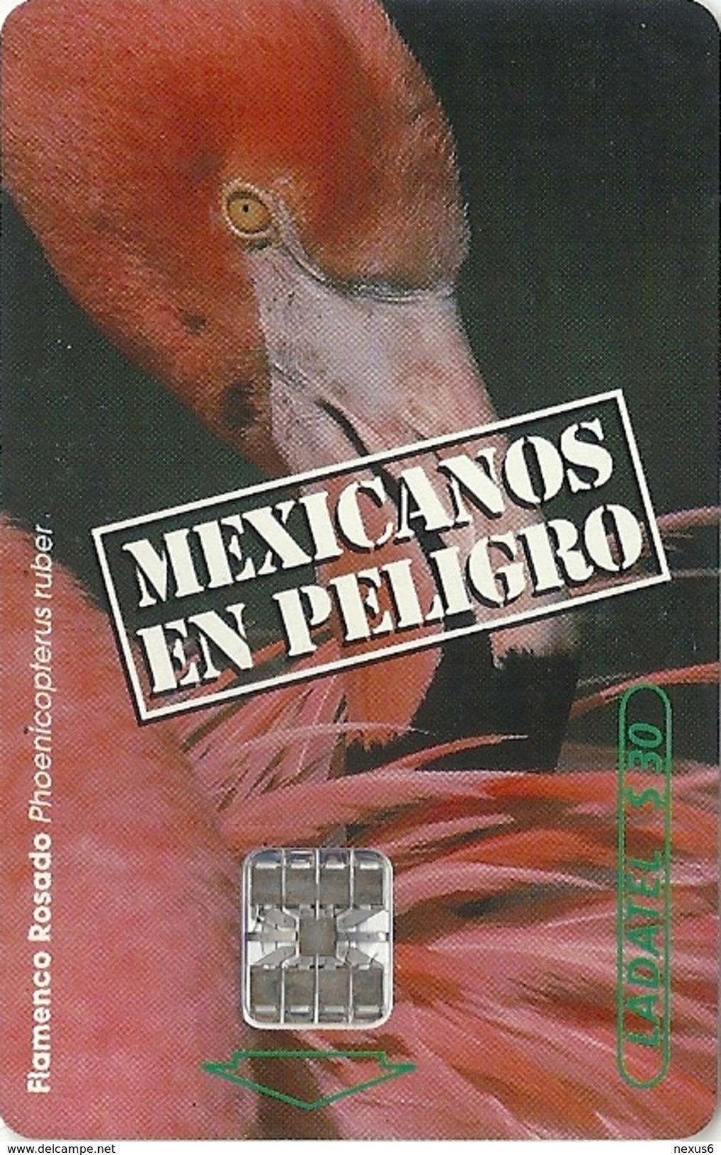 Mexico - Ladatel - Mexicanos En Peligro - Flamenco Rosado - P-0066 - 30$, 1997, Used - Mexico