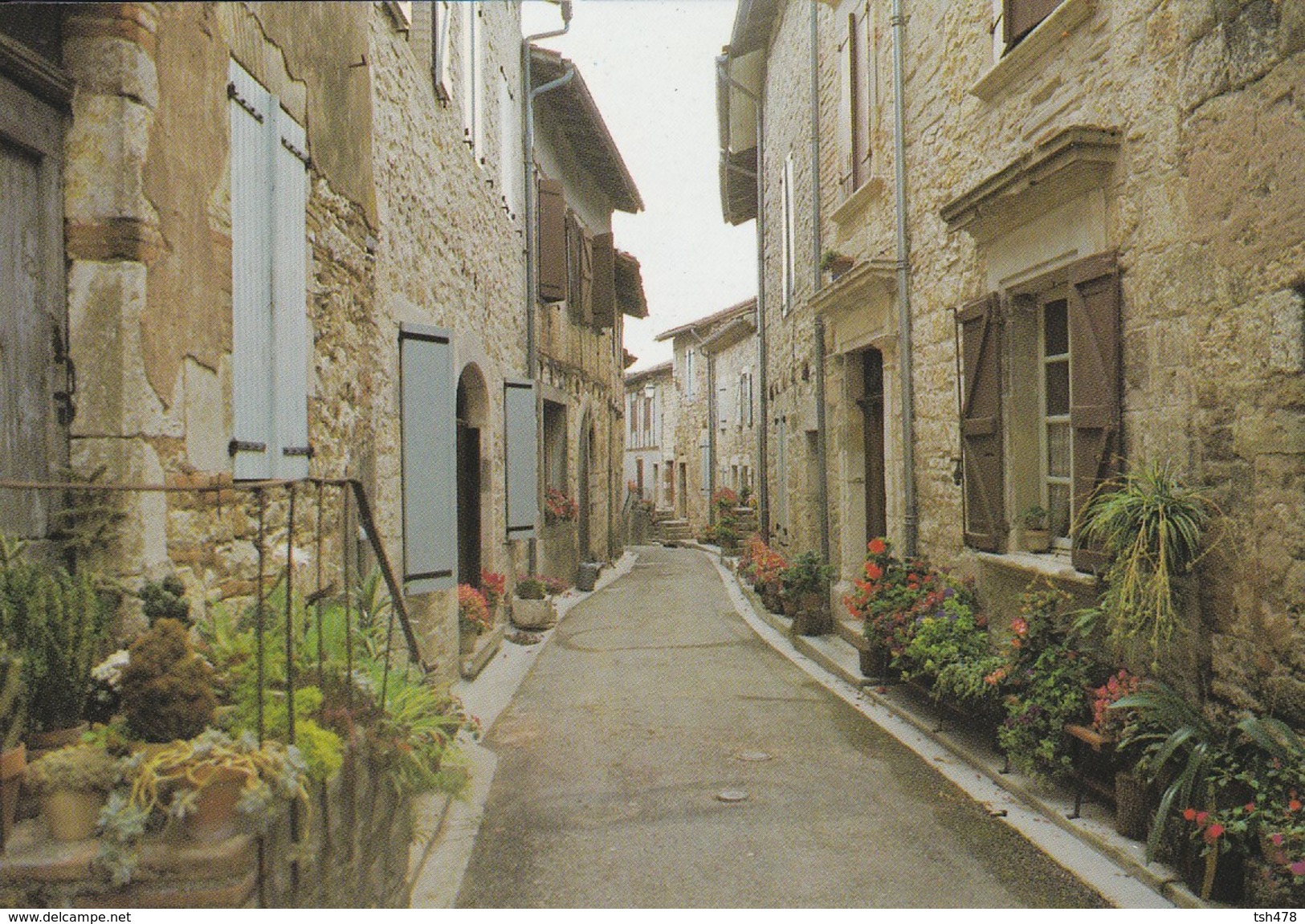 81----CASTELNAU DE MONTMIRAL---cité Médiévale-rue Des Ciffonniers--voir 2 Scans - Castelnau De Montmirail