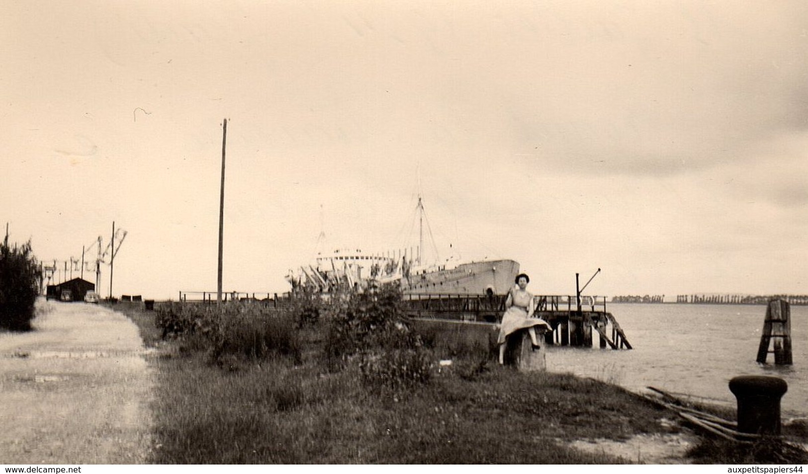 Photo Originale D'un Paquebot Cargo Au Niveau Du Bac Du Hode-Berville Le 15 Juillet 1954 - Chantier Pont De Tancarville - Personnes Anonymes