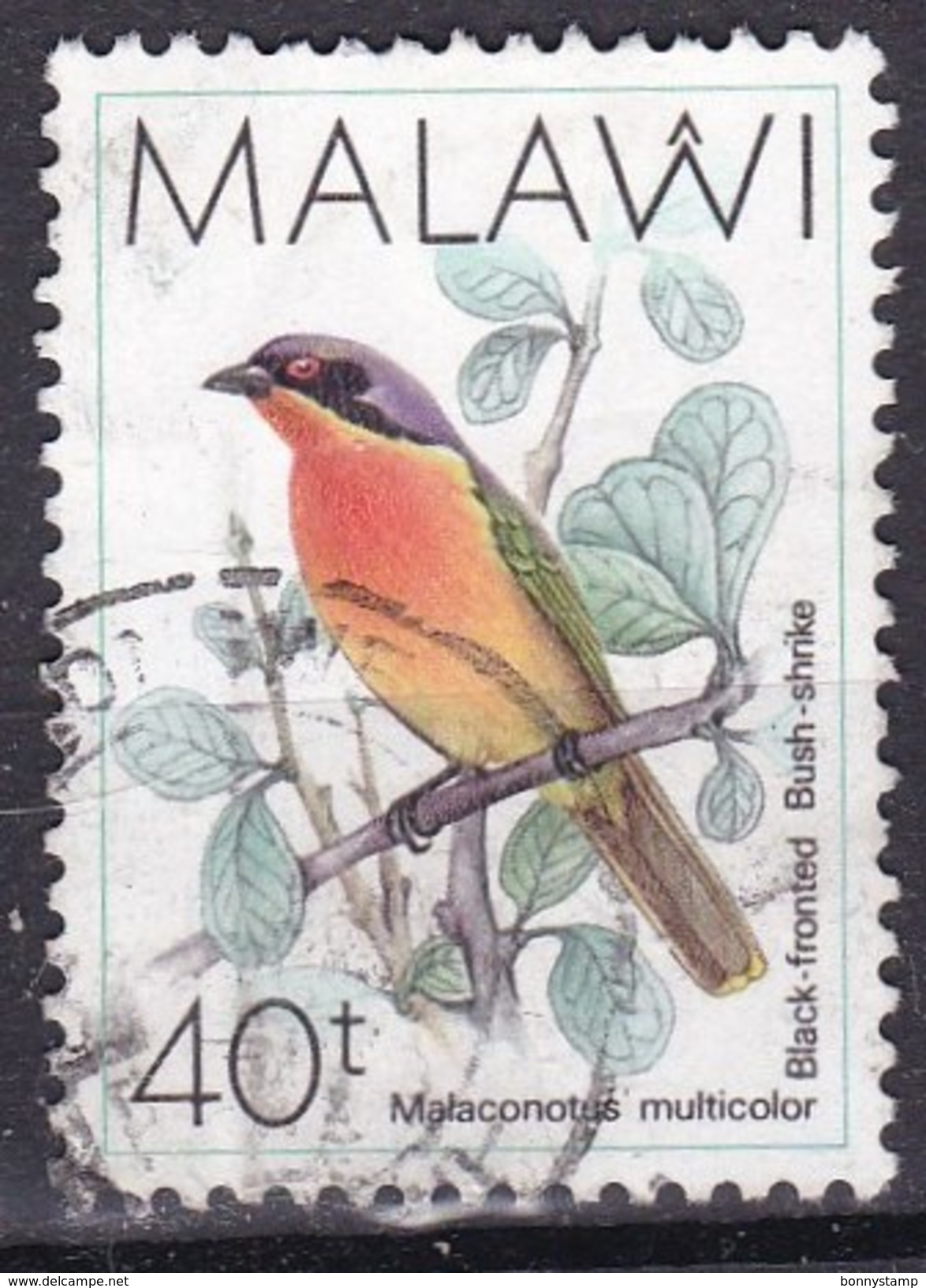 Malawi, 1988 - 40t Black-fronted Bush Shrike - Nr.527 Usato° - Malawi (1964-...)