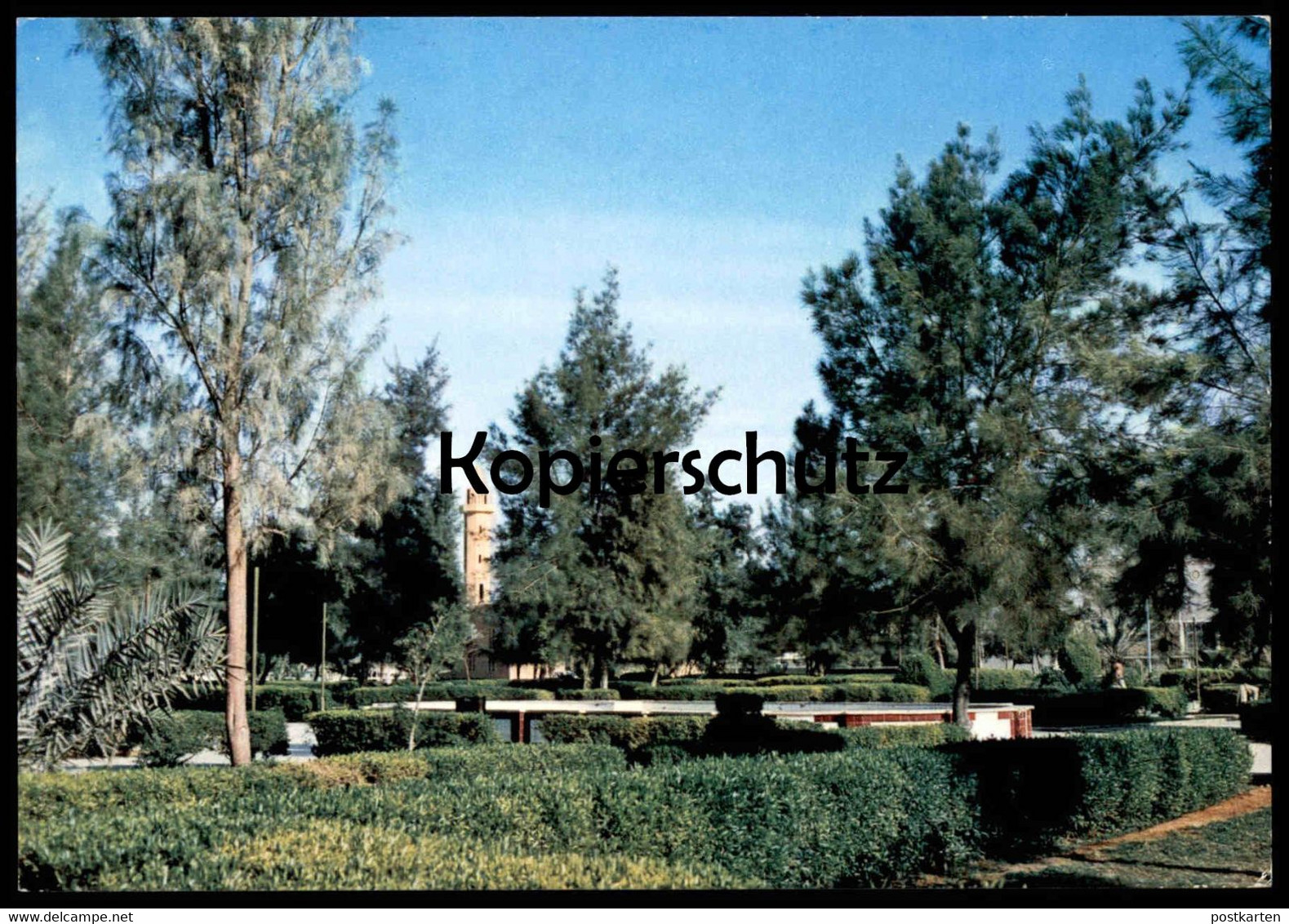 ÄLTERE POSTKARTE RIYADH PUBLIC GARDENS Garden Saudi Arabia Saudi-Arabien Park Parc Ansichtskarte Cpa AK Postcard - Saudi-Arabien