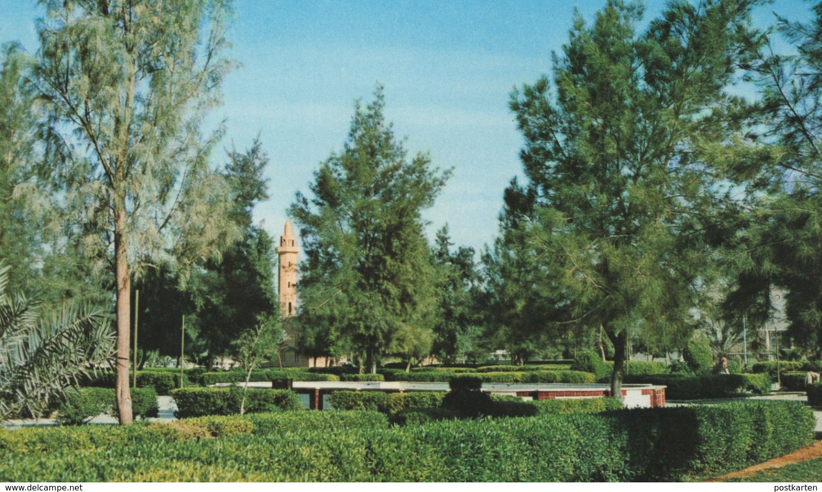 ÄLTERE POSTKARTE RIYADH PUBLIC GARDENS Garden Saudi Arabia Saudi-Arabien Park Parc Ansichtskarte Cpa AK Postcard - Saudi Arabia