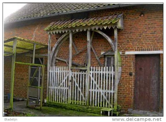 HERNE (Vlaams-Brabant) - Molen/moulin - Prentkaart Van De Botermolen (hondenmolen) In De Lindestraat - Herne