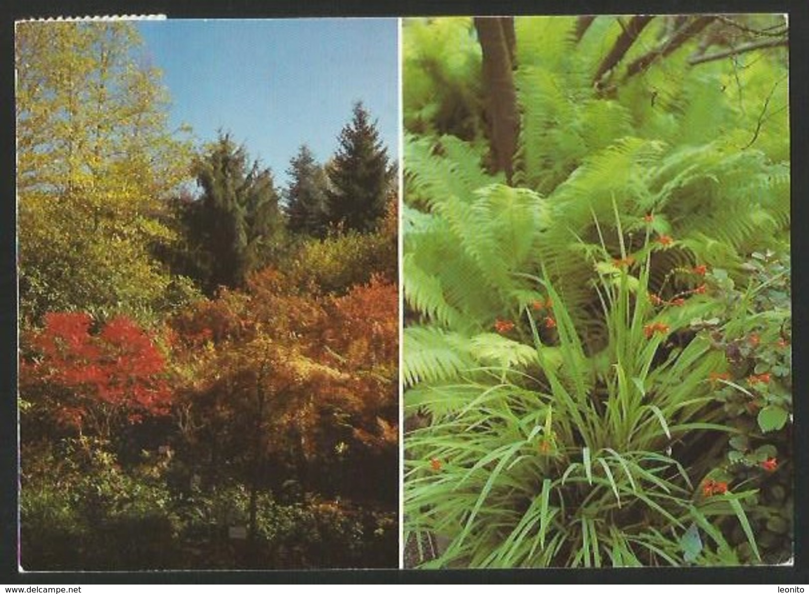 GRÜNINGEN ZH Hinwil Botanischer Garten Im Eichholz Stiftung Zürcher Kantonalbank 1983 - Hinwil