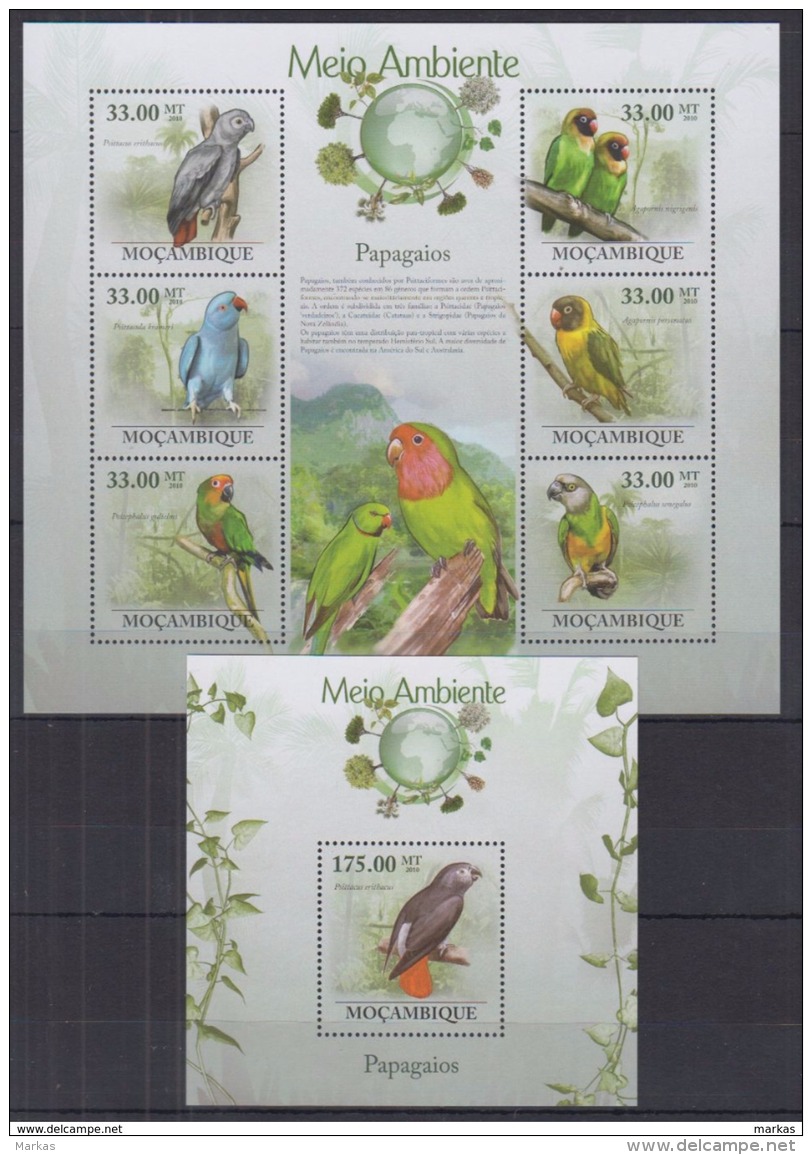 S39 Mozambique - MNH - Animals - Birds - 2010 - Sonstige & Ohne Zuordnung