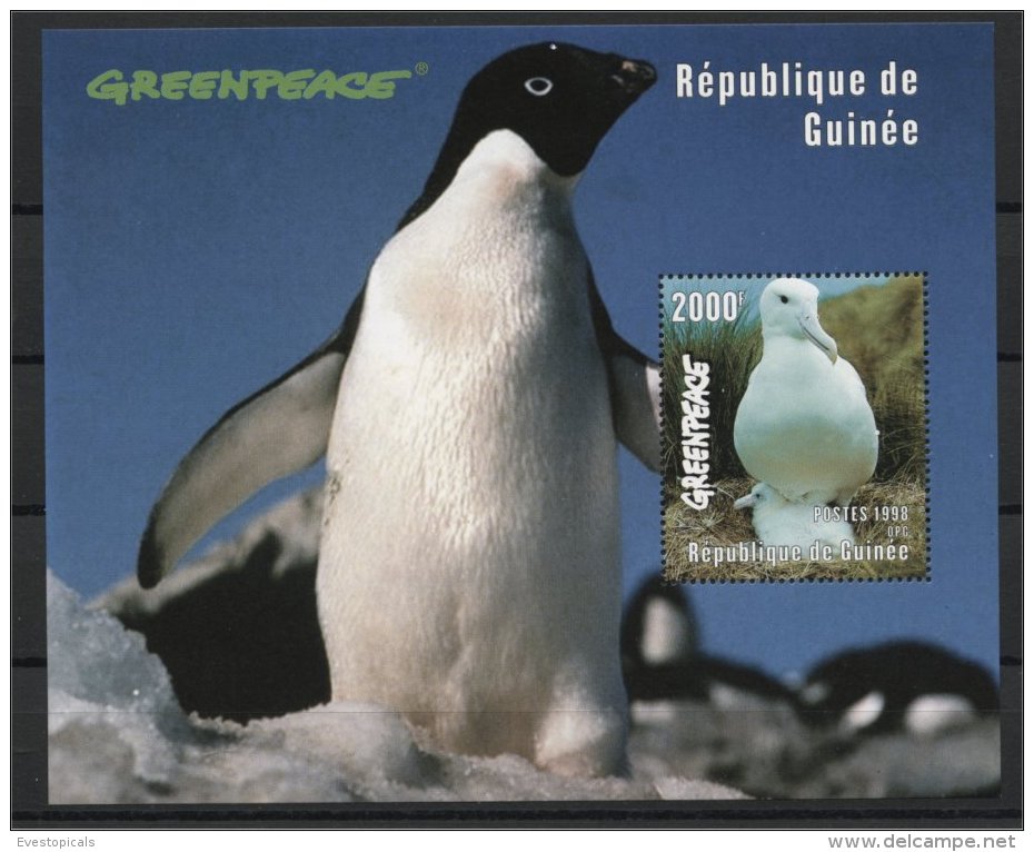 GUNIEA, SOUVENIR SHEET, GREEN PEACE FROM 1998 MNH - Albatrosse & Sturmvögel