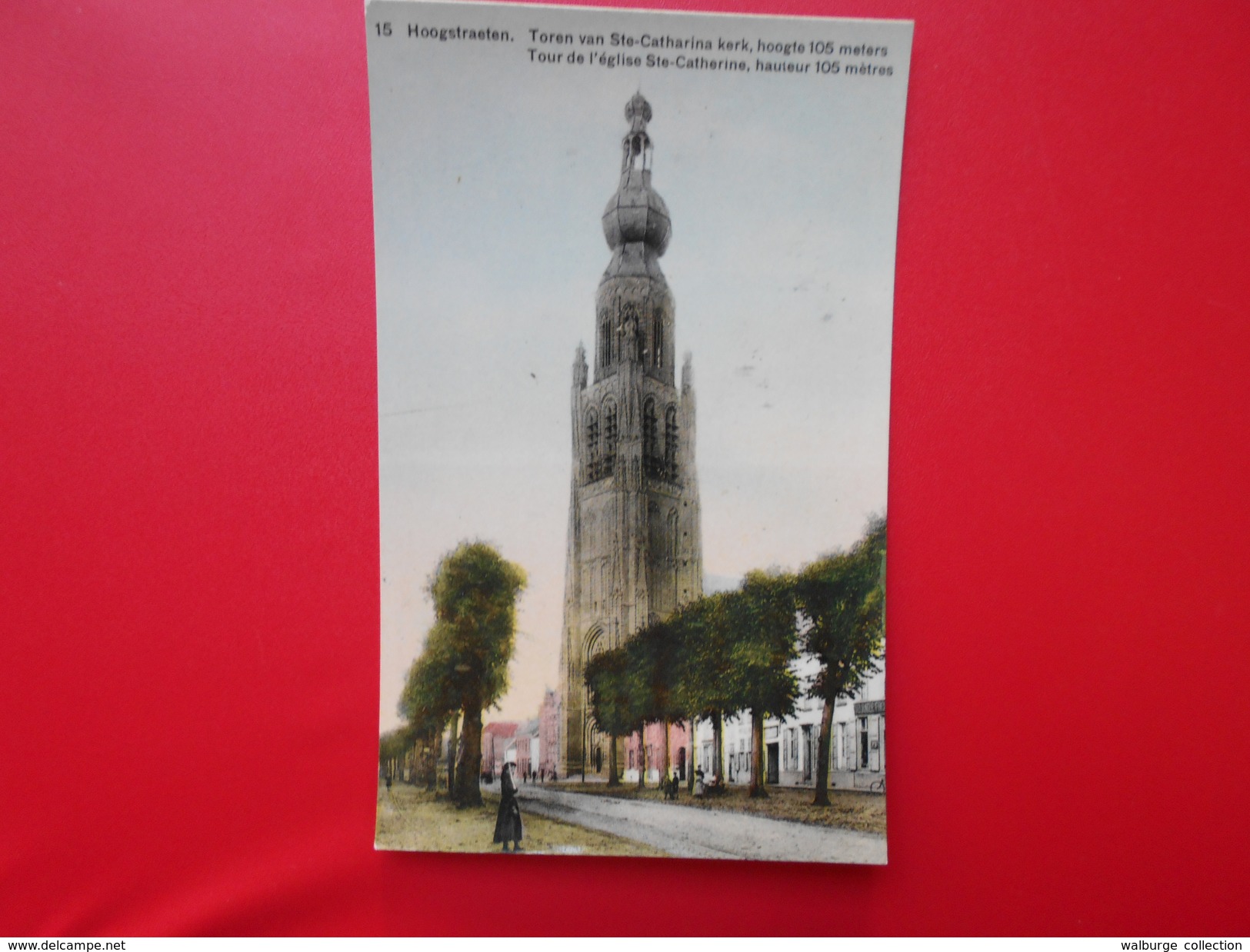 Hoogstraten :Tour De L'Eglise Sainte-Catherine (H2874) - Hoogstraten