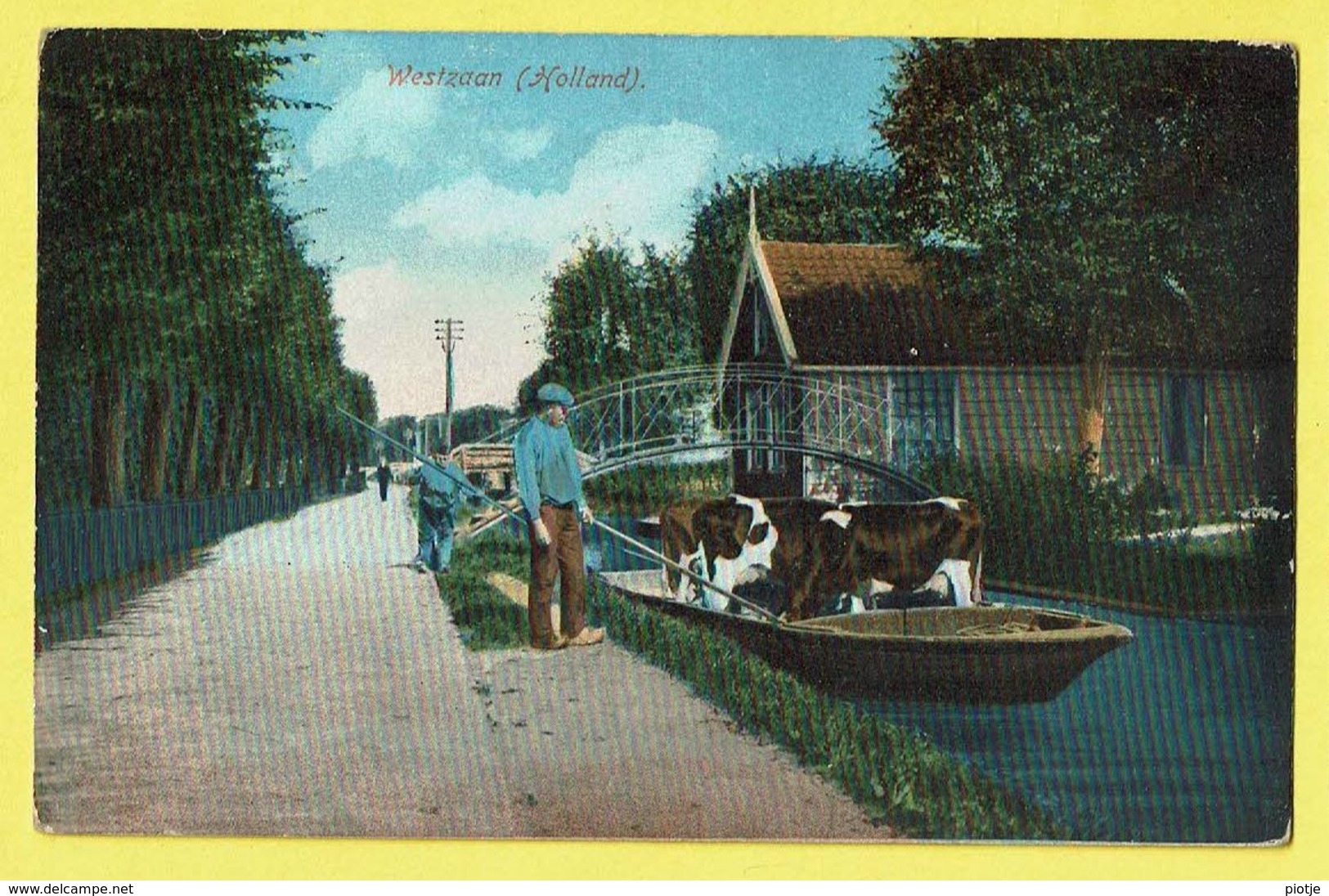 * Westzaan (Noord Holland - Zaanstreek - Nederland) *  De Gracht, Koe, Vache, Cow, Bateau, Boat, Canal, Quai, Pont, TOP - Zaanstreek