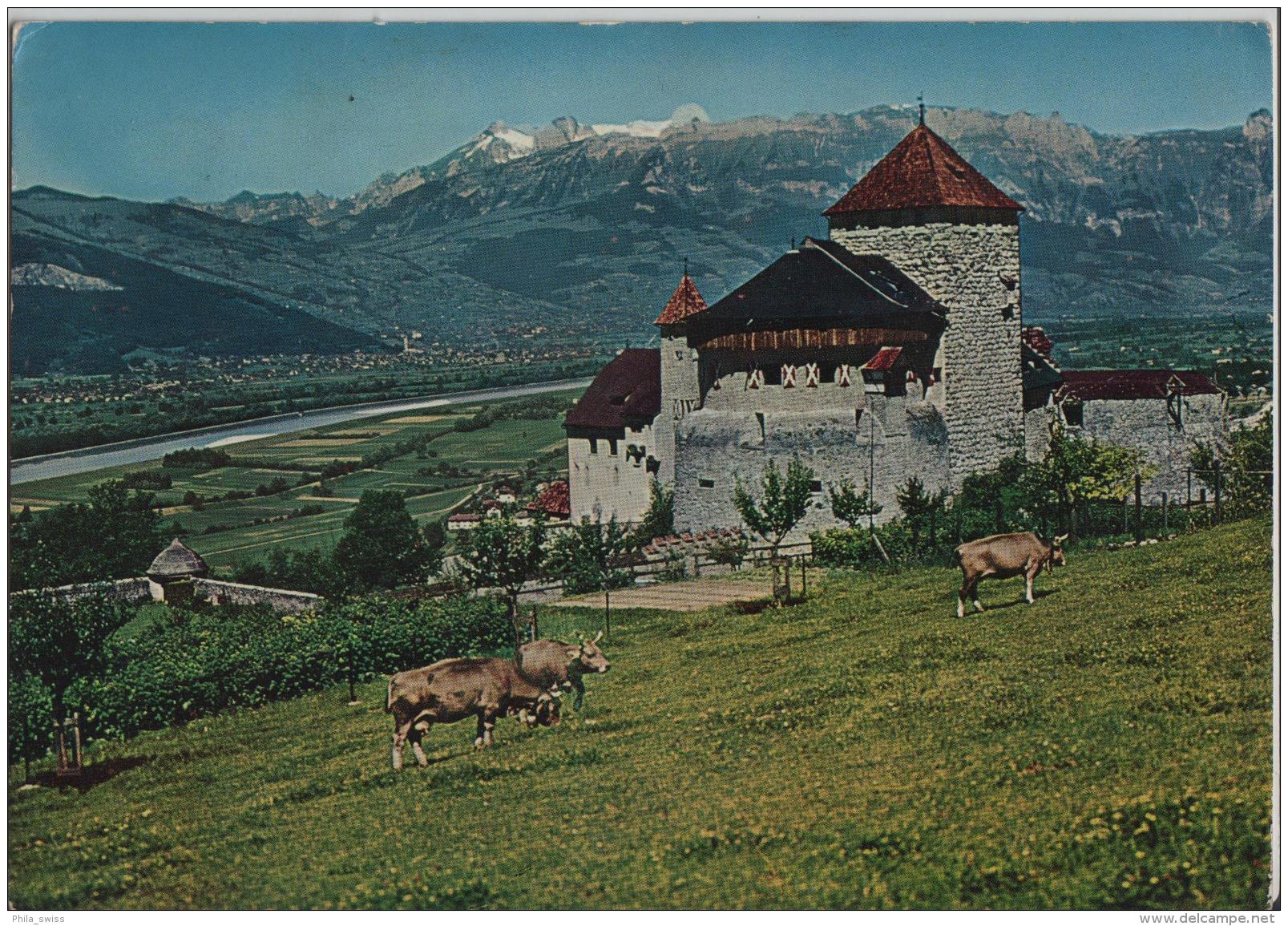 Schloss Castle Chateau Vaduz, Rheintal, Rhine Valley, Vallee Du Rhin - Photo: Baron V. Falz-Fein - Liechtenstein