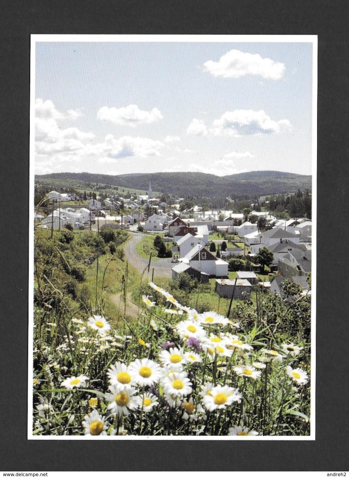 CAUSAPSCAL - QUÉBEC - TRÈS JOLIE PETIT VILLAGE - PHOTO MICHEL GASCON - Pin-Ups