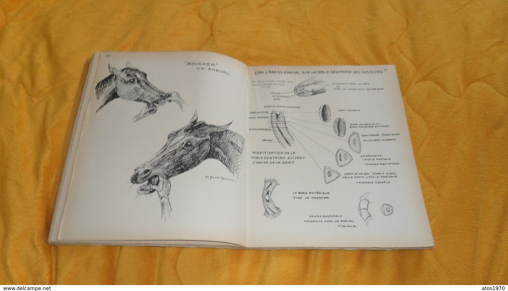 LIVRE ANCIEN DE 1963. / CHEVAL MON CHER SOUCI. 500 CROQUIS LEGENDES SUR LES SOINS AUX CHEVAUX. / YVES BENOIST GIRONIERE. - Animaux