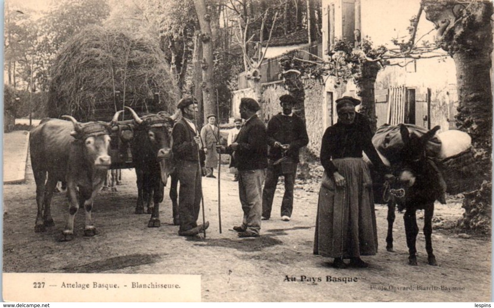 FOLKLORE  -- AU PAYS BASQUE -- Attelage Basque - Blanchisseuse N° 227 - Autres & Non Classés