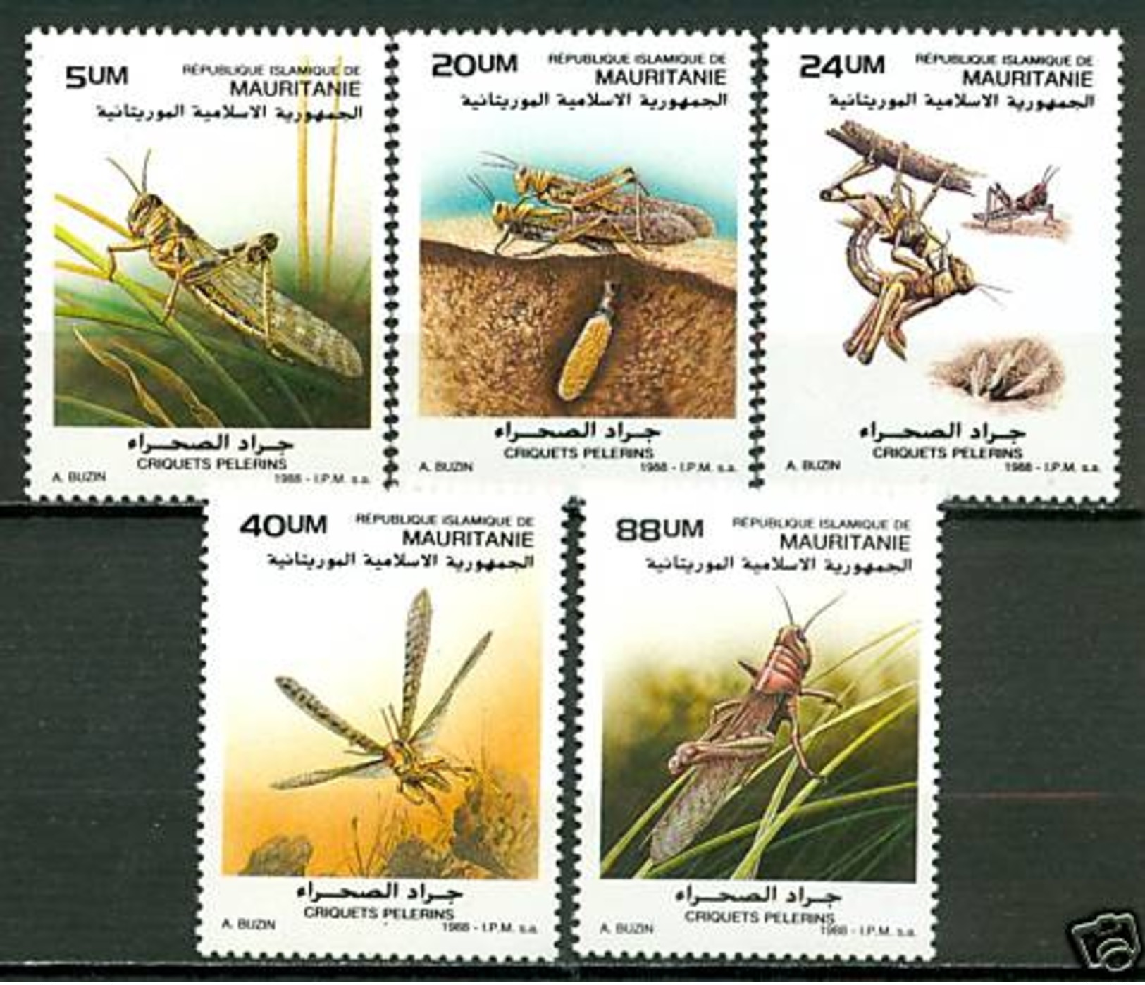 MAURITANIA 1988 Locusts Set (5v), XF MNH, MiNr 950-4, SG 925-9 - Mauritania (1960-...)