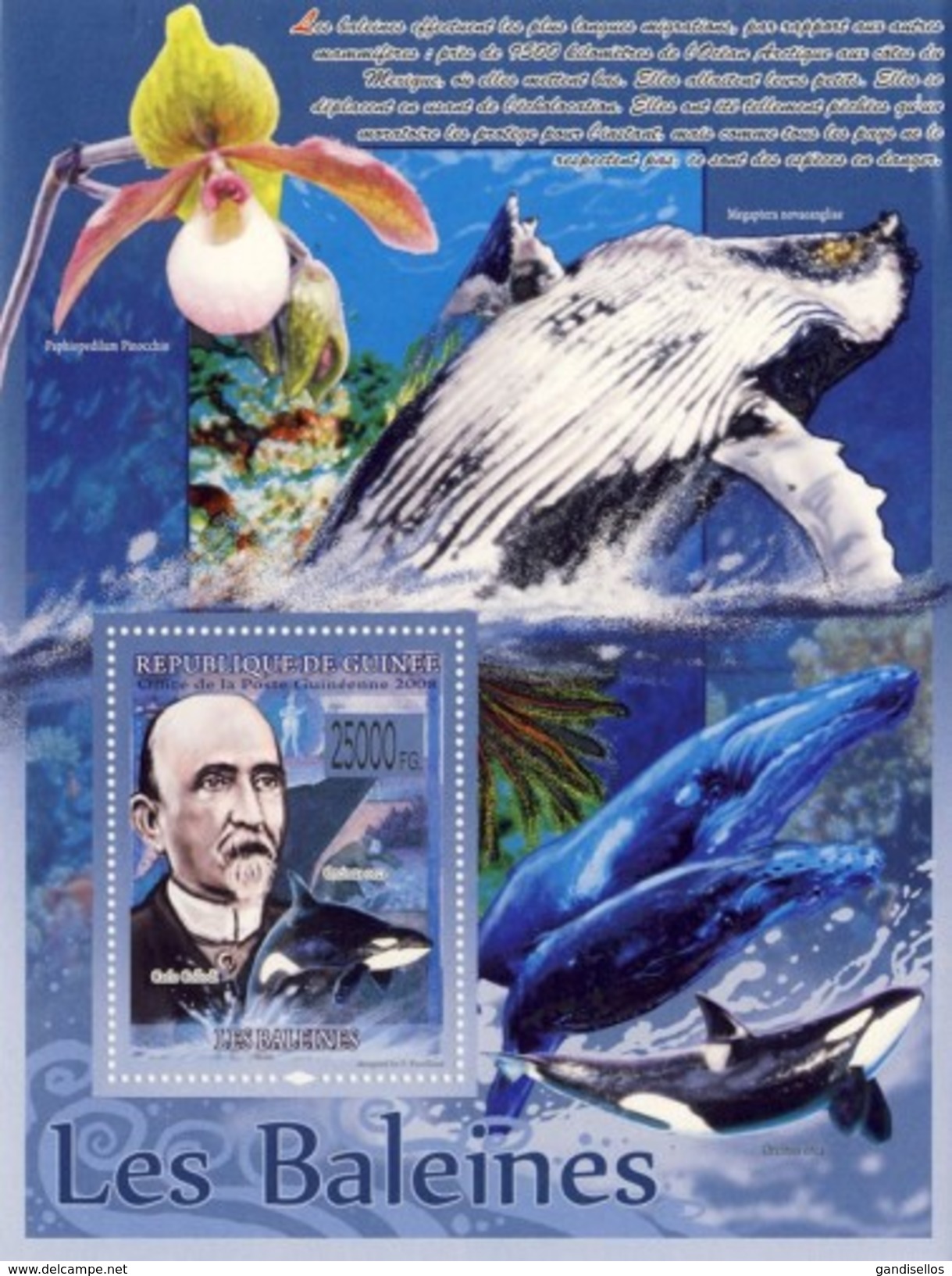 GUINEA 2008 SHEET WHALES BALEINES BALLENAS WALEN BALEIAS MARINE LIFE CARLO COLLODI WRITER Gu0832a - Guinee (1958-...)