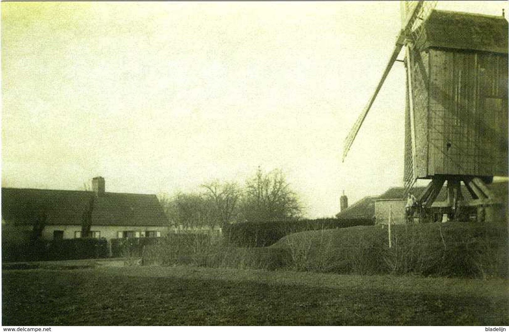 LANDEGEM Bij Nevele (O.-Vl.) - Molen/moulin - De Verdwenen Herenthoekmolen Tijdens 1914-1918 Voor Zijn Verwoesting - Nevele