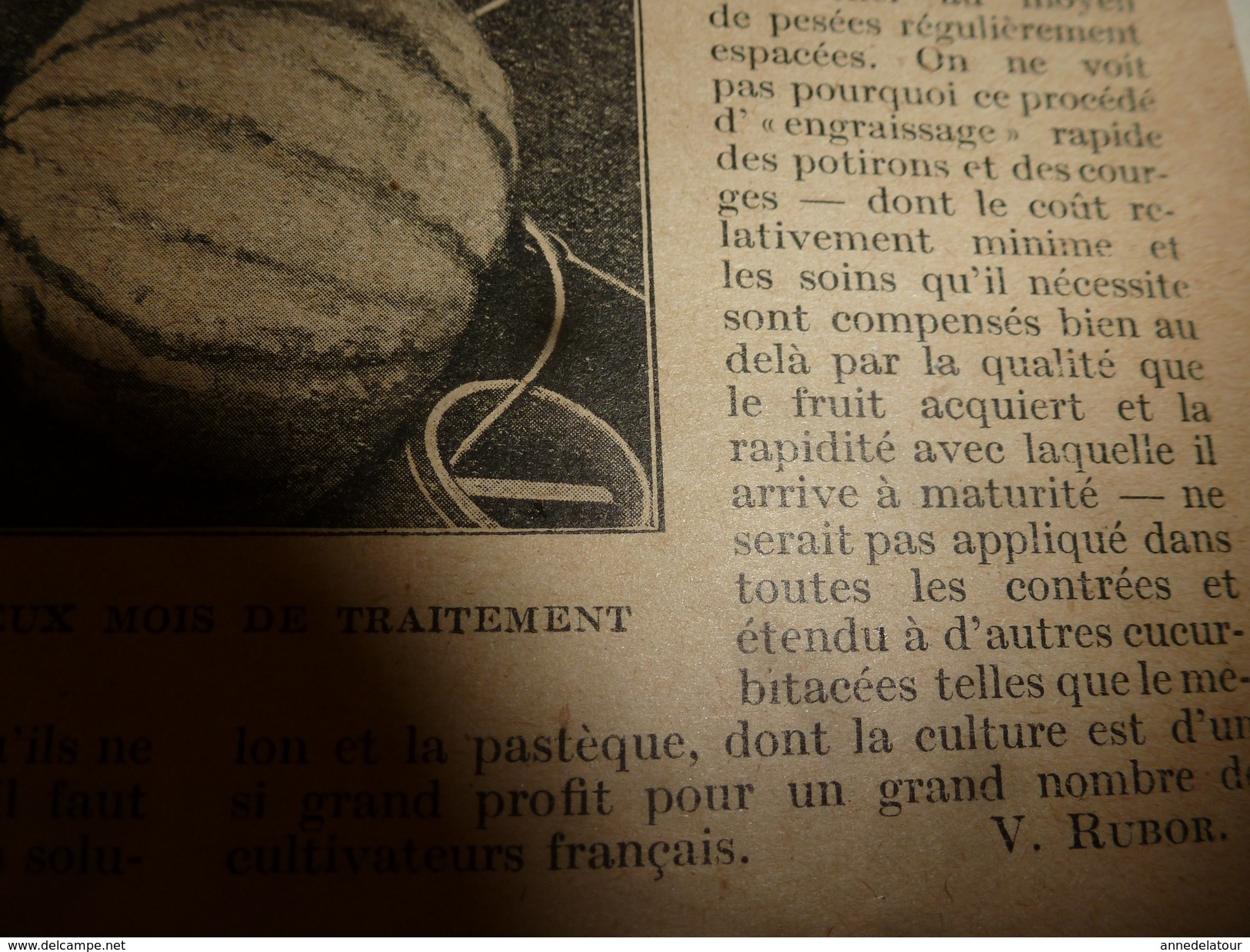 1917 LSELV :Les a-cotés de la science (Fusil à visée indirecte,canon sans-recul pour avions, faire un thé parfait ,etc)