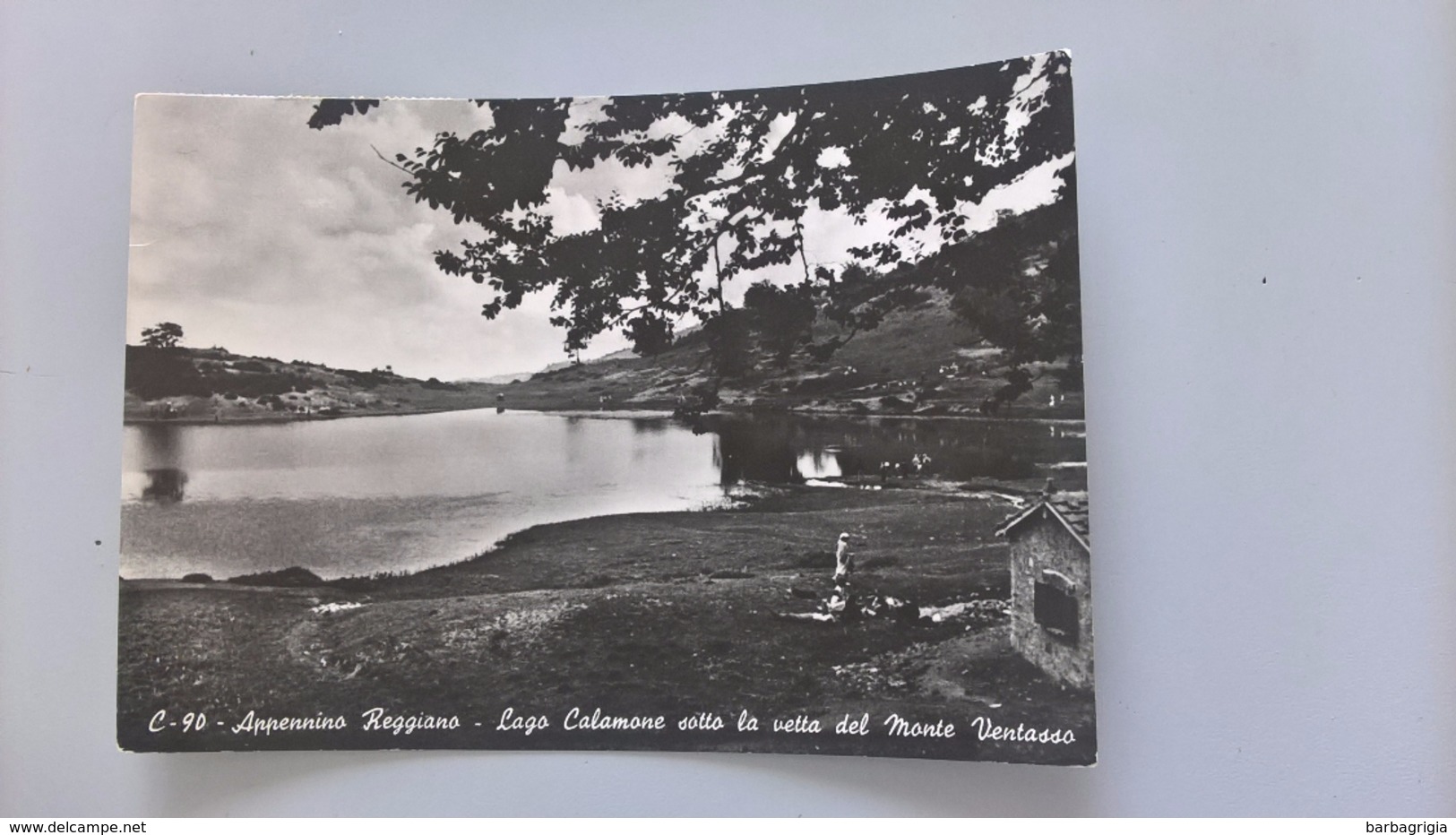 CARTOLINA APPENNINO REGGIANO . LAGO CALAMONE SOTTO LA VETTA DEL MONTE VENTASSO - Reggio Emilia