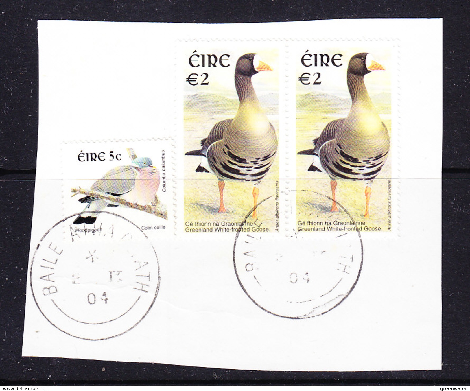 Ireland 2004 Greenland White Fronted Goose In Pair Used On Paper Ca 13.2.2004 (35715) - Usati