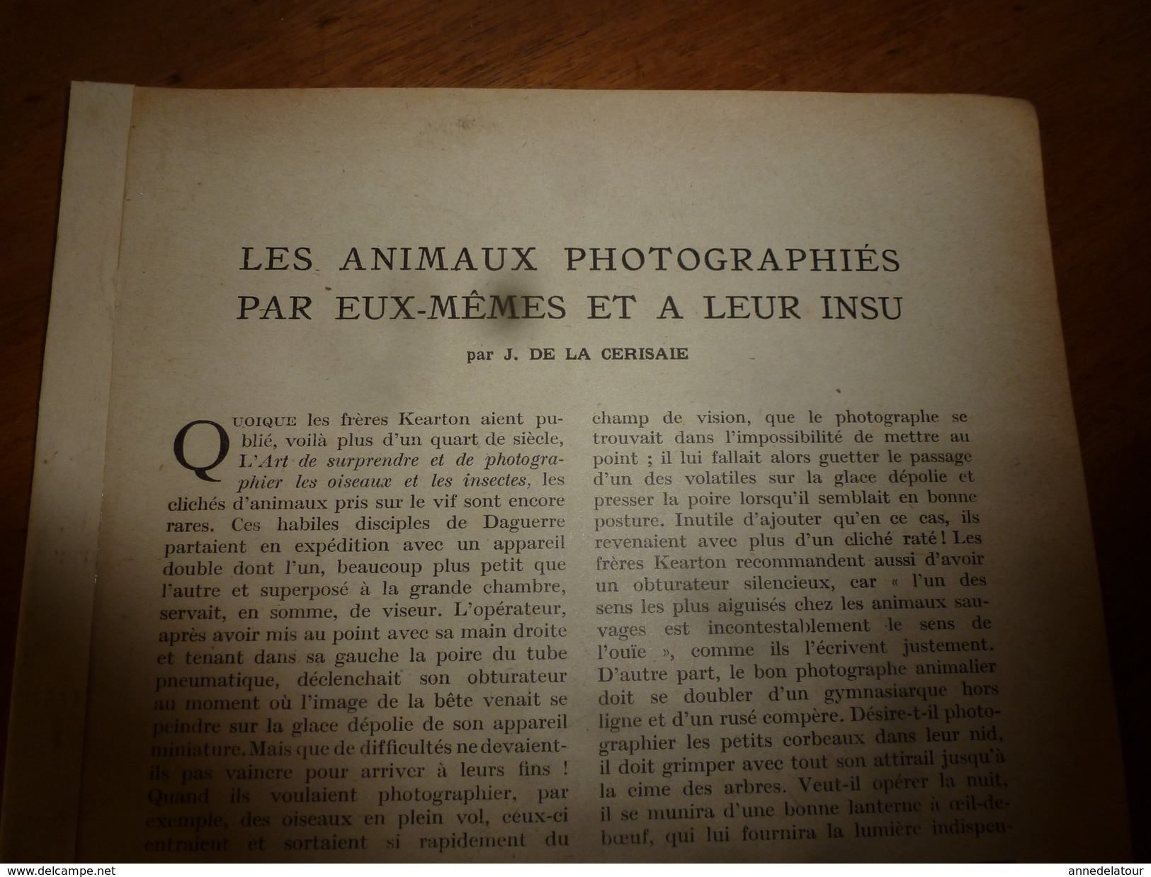 1917 LSELV :Les Animaux Photographiés Par Eux-mêmes Et A Leur Insu  (par J. De La Cerisaie) - Otros & Sin Clasificación