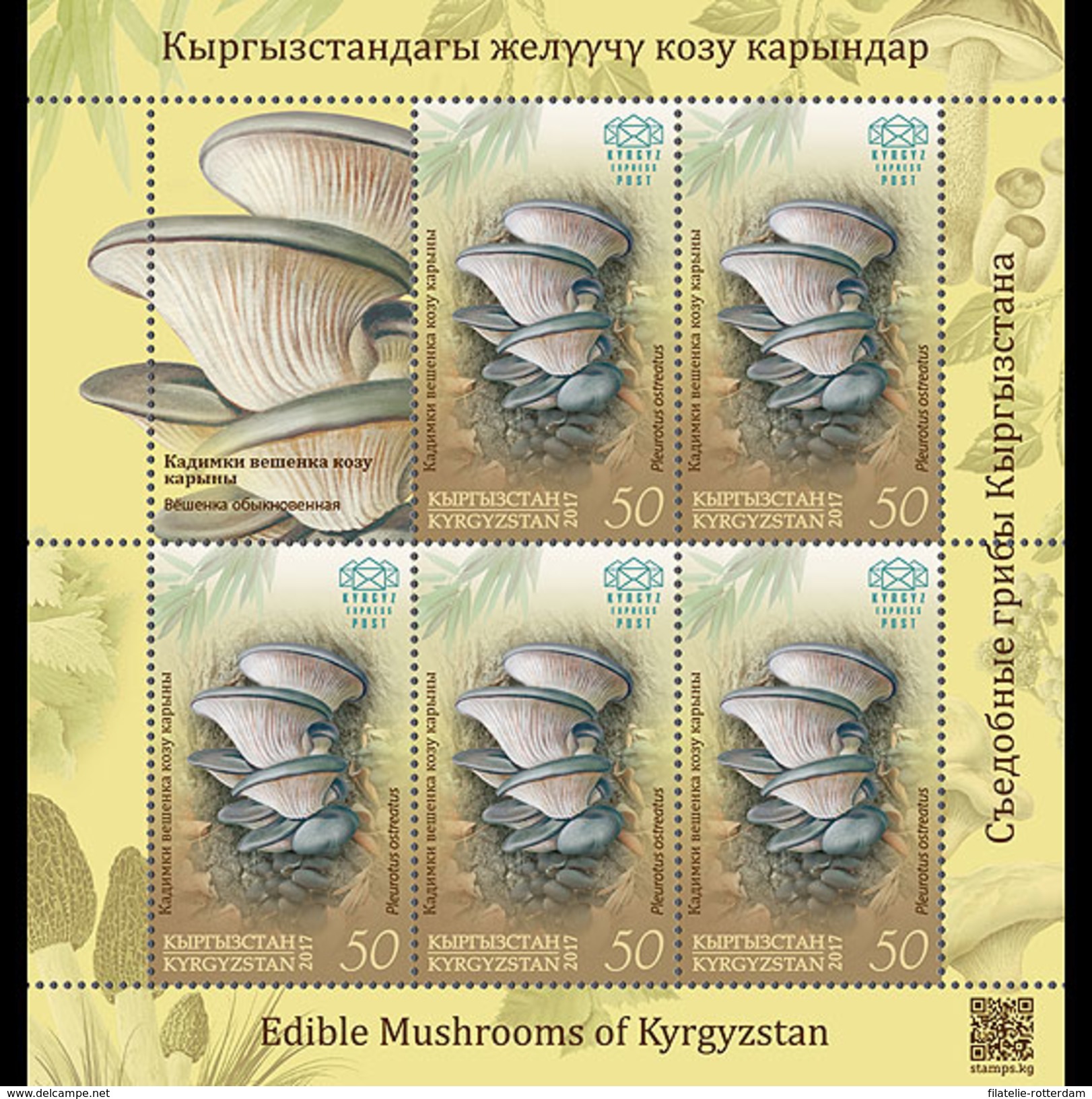 Kirgizië / Kyrgyzstan - Postfris / MNH - Sheet Paddenstoelen (50) 2017 - Kirgizië