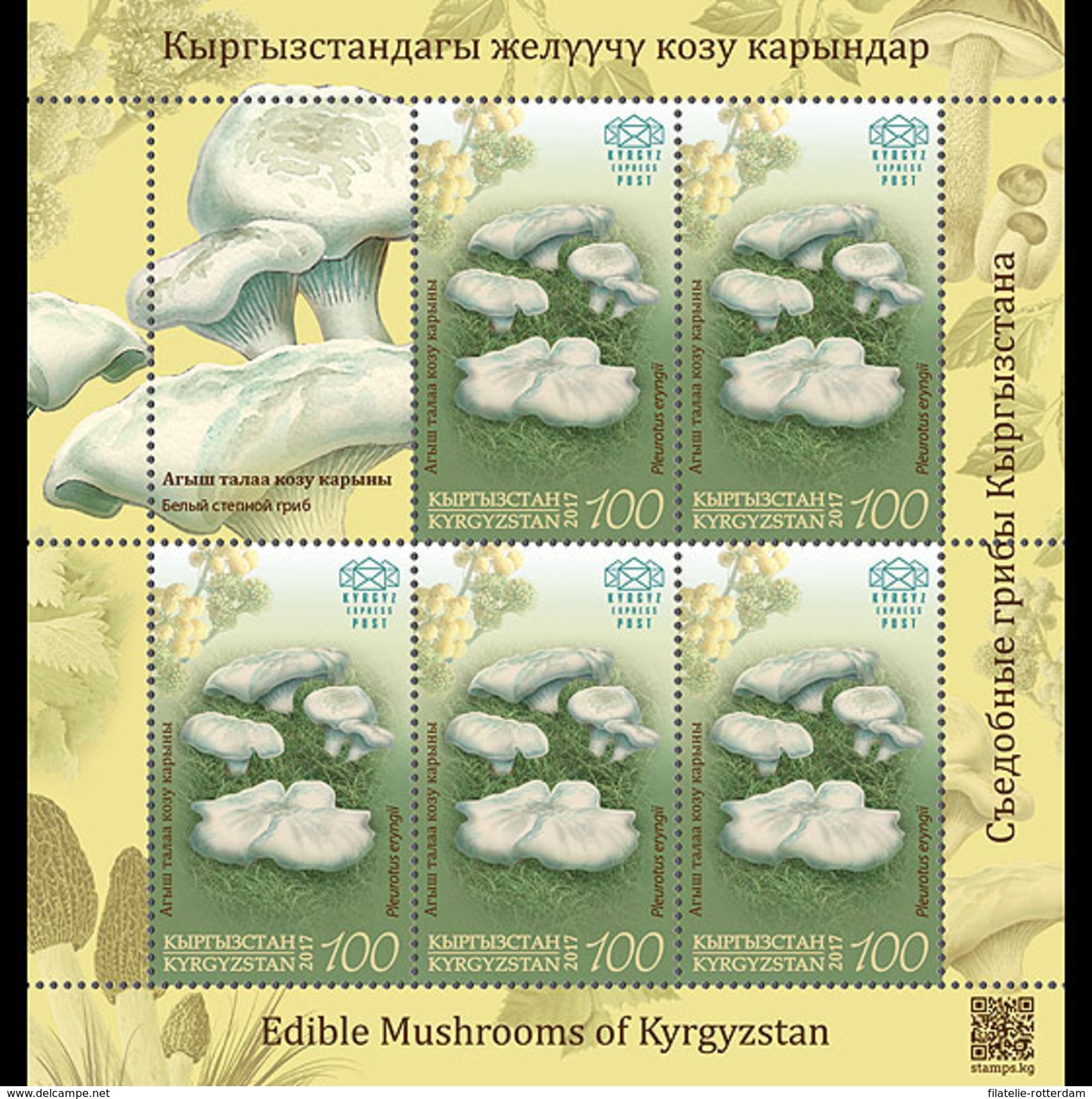 Kirgizië / Kyrgyzstan - Postfris / MNH - Sheet Paddenstoelen (100) 2017 - Kirgizië