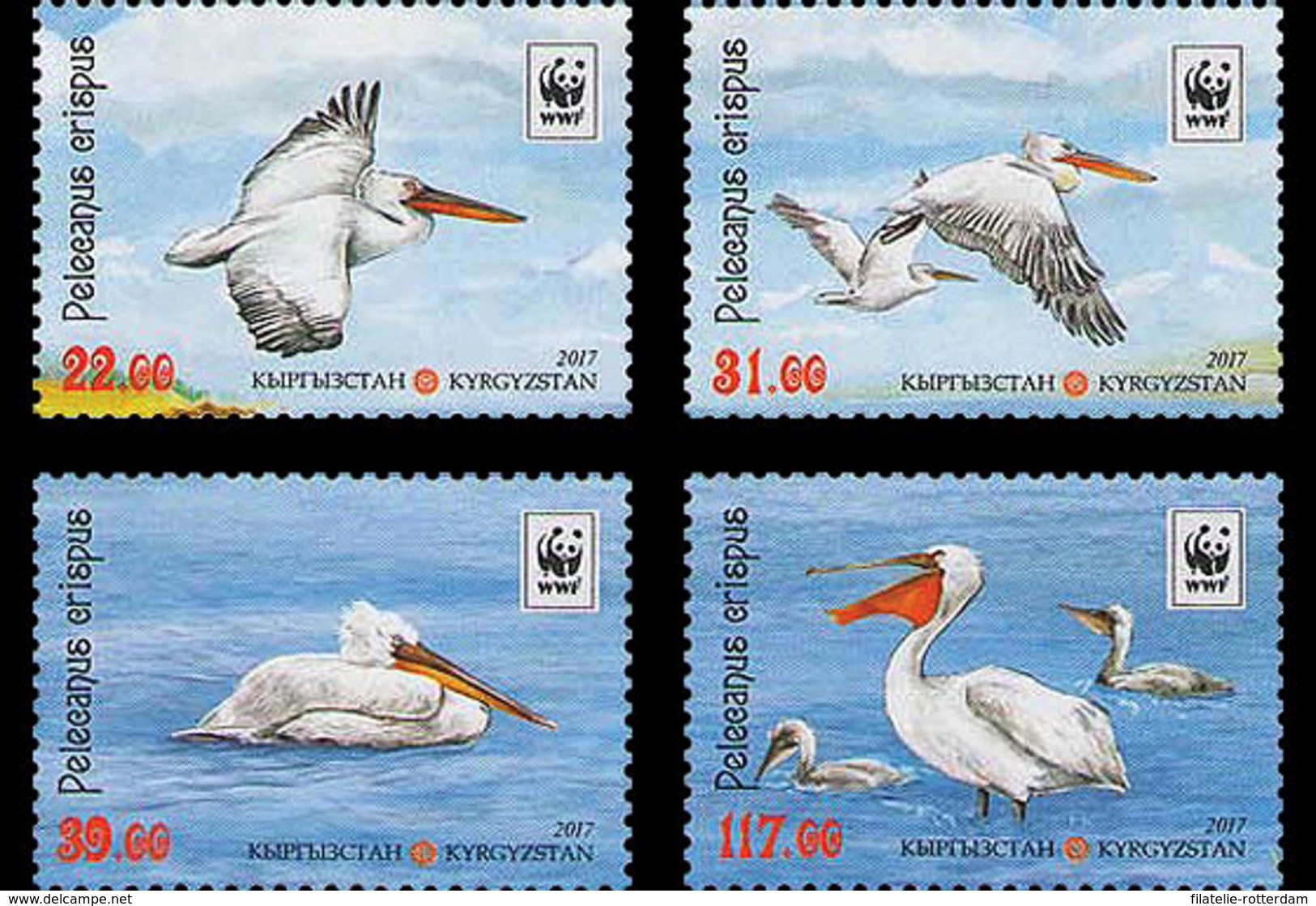 Kirgizië / Kyrgyzstan - Postfris / MNH - Complete Set WWF Pelikaan 2017 - Kirgizië