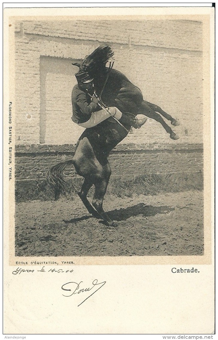 Ieper Ecole D' Equitation - Ypres - Ieper