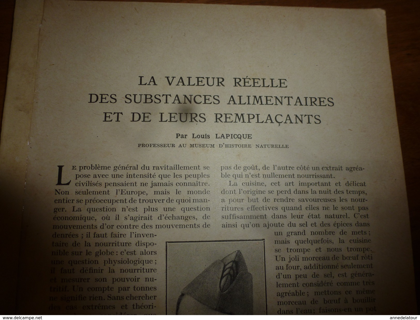 1917 LSELV :Valeur Réelle Des Aliments Et Succédanés (Louis Lapicque Pro D'hist Naturelle); NICKEL (par Charles Lordier) - Minerals
