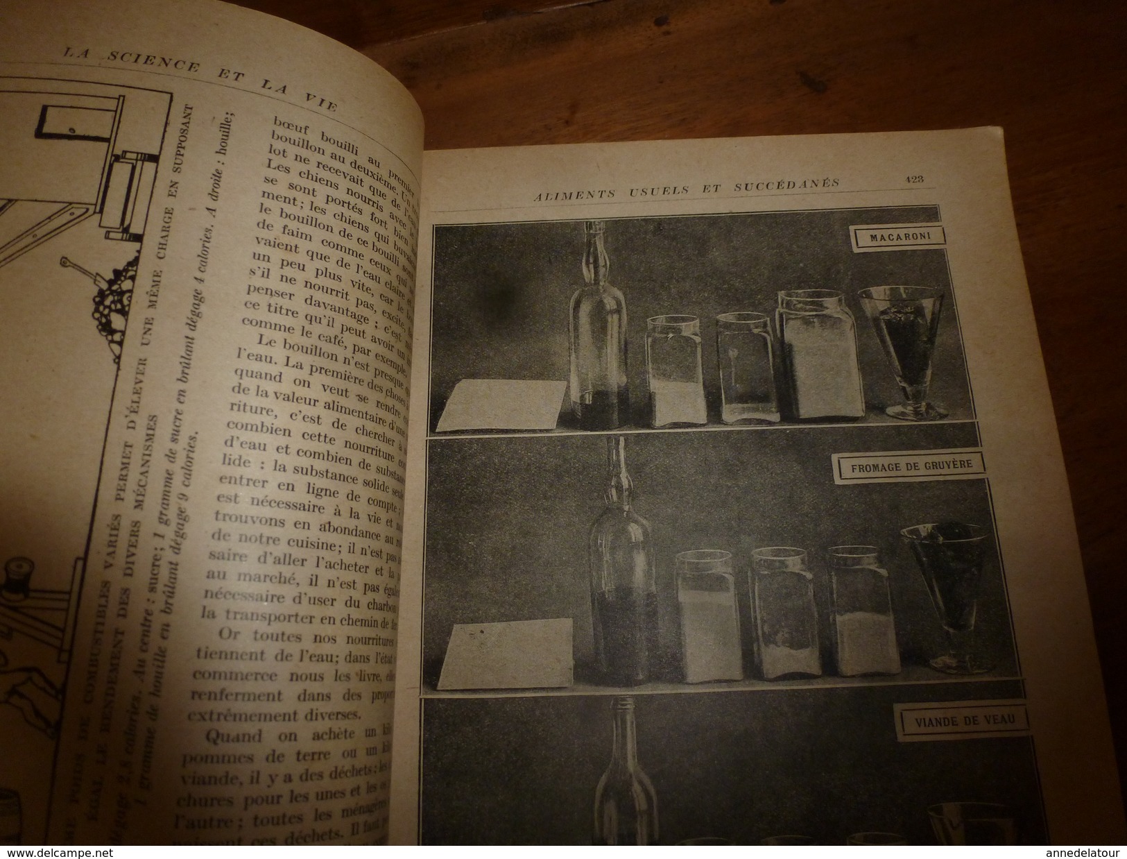 1917 LSELV :Valeur Réelle Des Aliments Et Succédanés (Louis Lapicque Pro D'hist Naturelle); NICKEL (par Charles Lordier) - Minerales