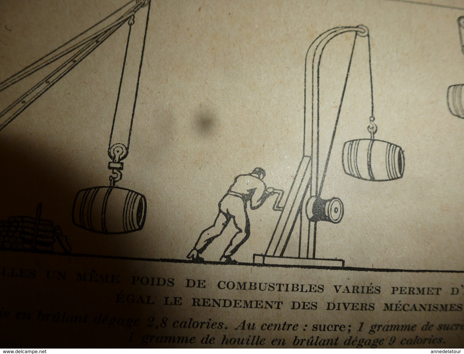 1917 LSELV :Valeur Réelle Des Aliments Et Succédanés (Louis Lapicque Pro D'hist Naturelle); NICKEL (par Charles Lordier) - Minerals