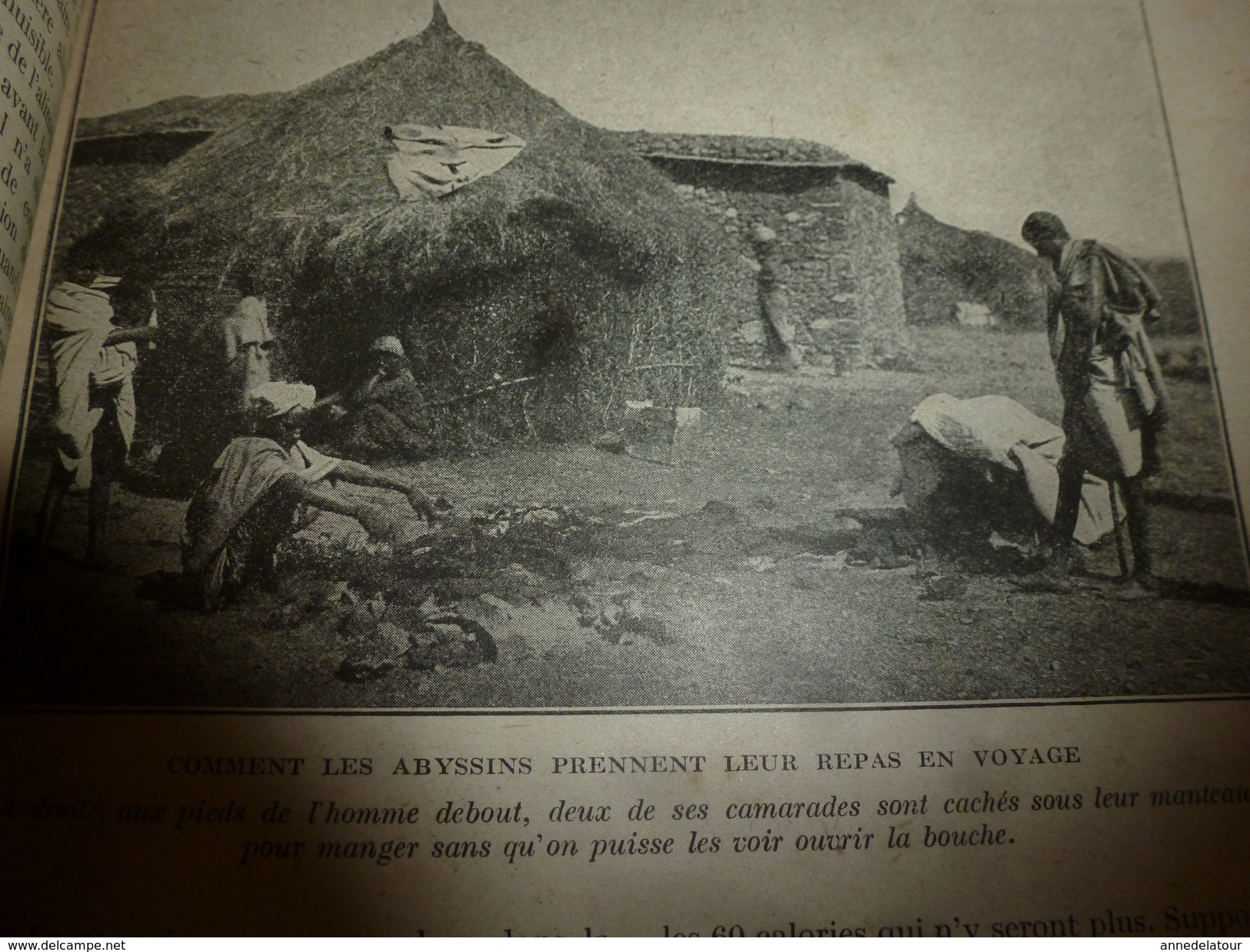 1917 LSELV :Valeur réelle des aliments et succédanés (Louis Lapicque pro d'hist naturelle); NICKEL (par Charles Lordier)