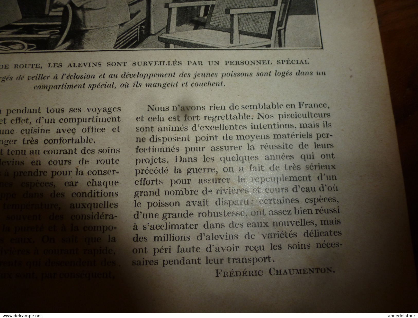 1917 LSELV :Fourgons-viviers Pour Transport Du Poisson(de Frédéric Chaumenton);Téléphonie Militaire(Isidor Recoulier) - Telephony