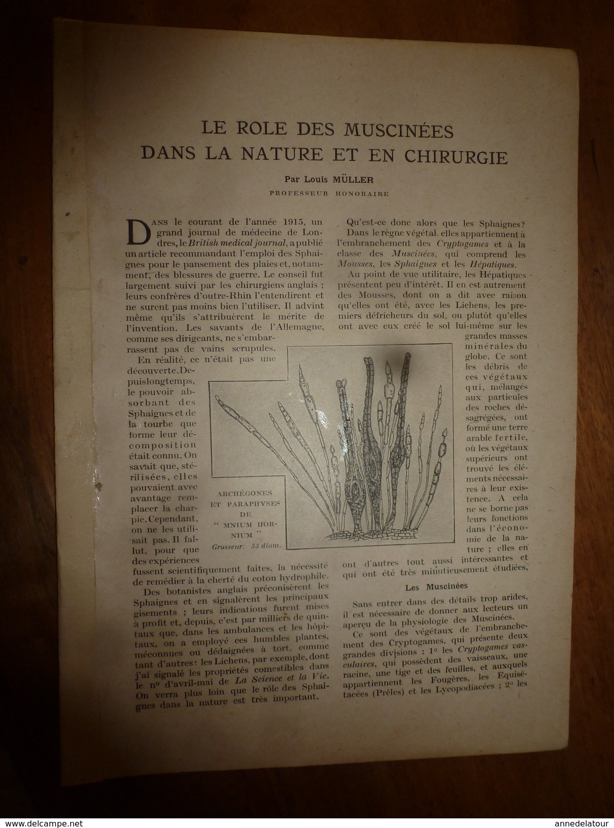 1917 LSELV :Le Rôle Des Muscinées Dans La Nature Et En Chirurgie (par Louis Müller Professeur Honoraire) - Autres & Non Classés